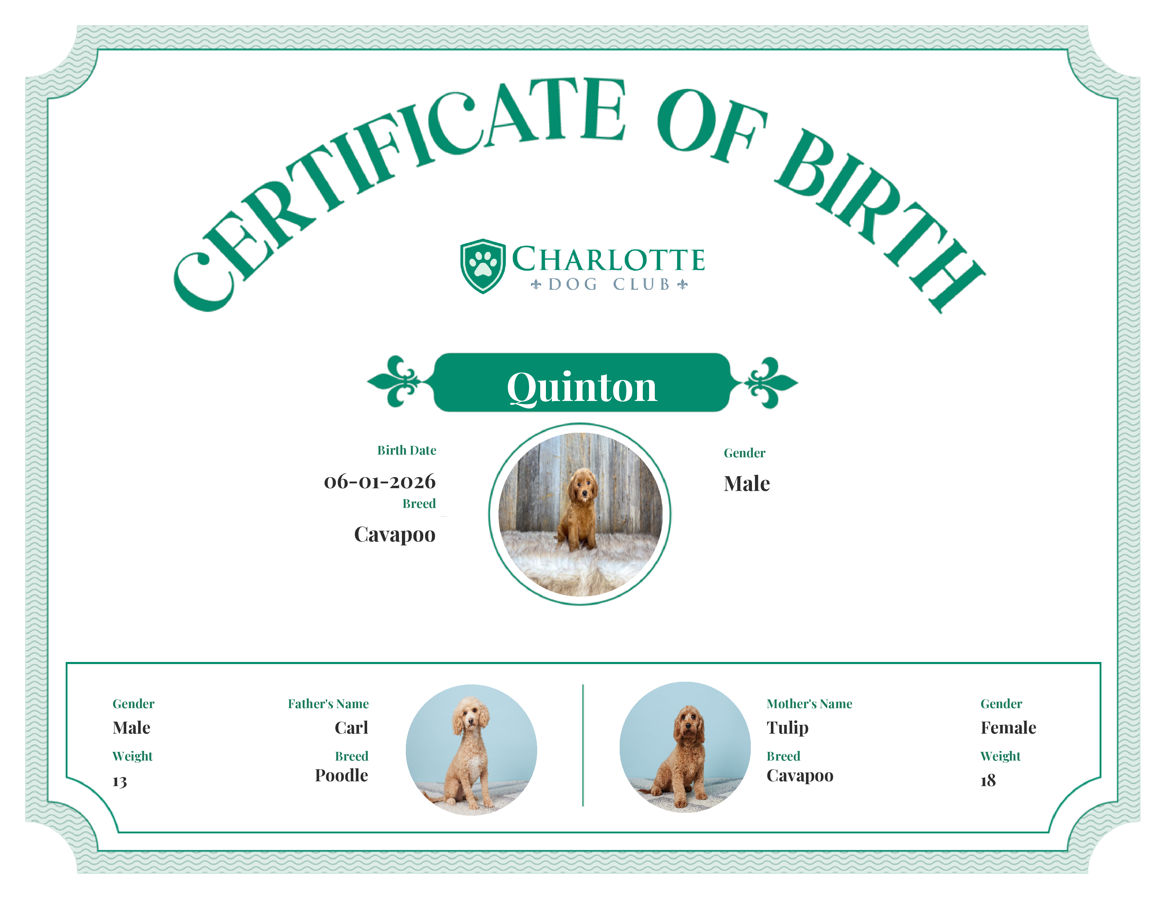 Quinton's Birth Certificate