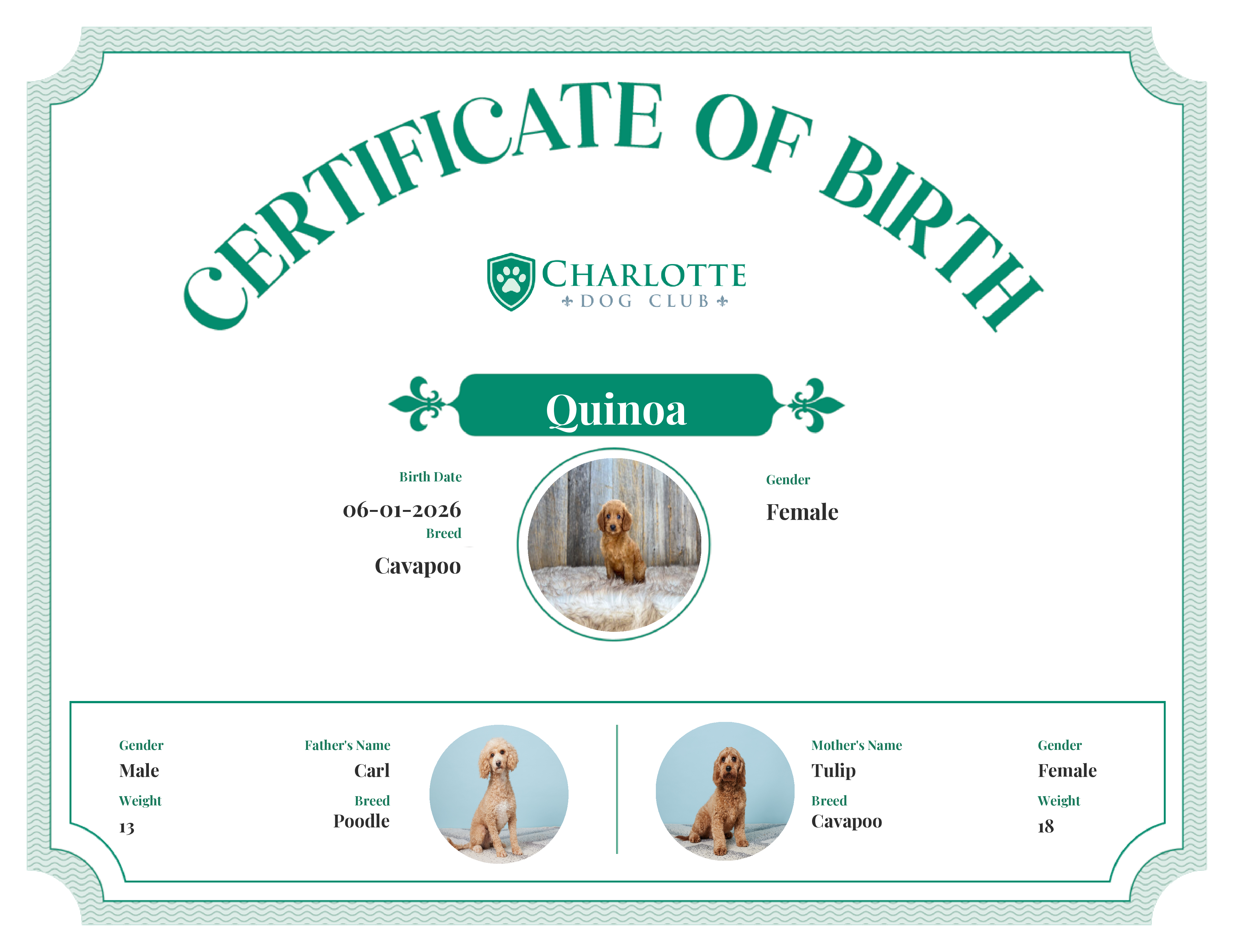 Quinoa's Birth Certificate