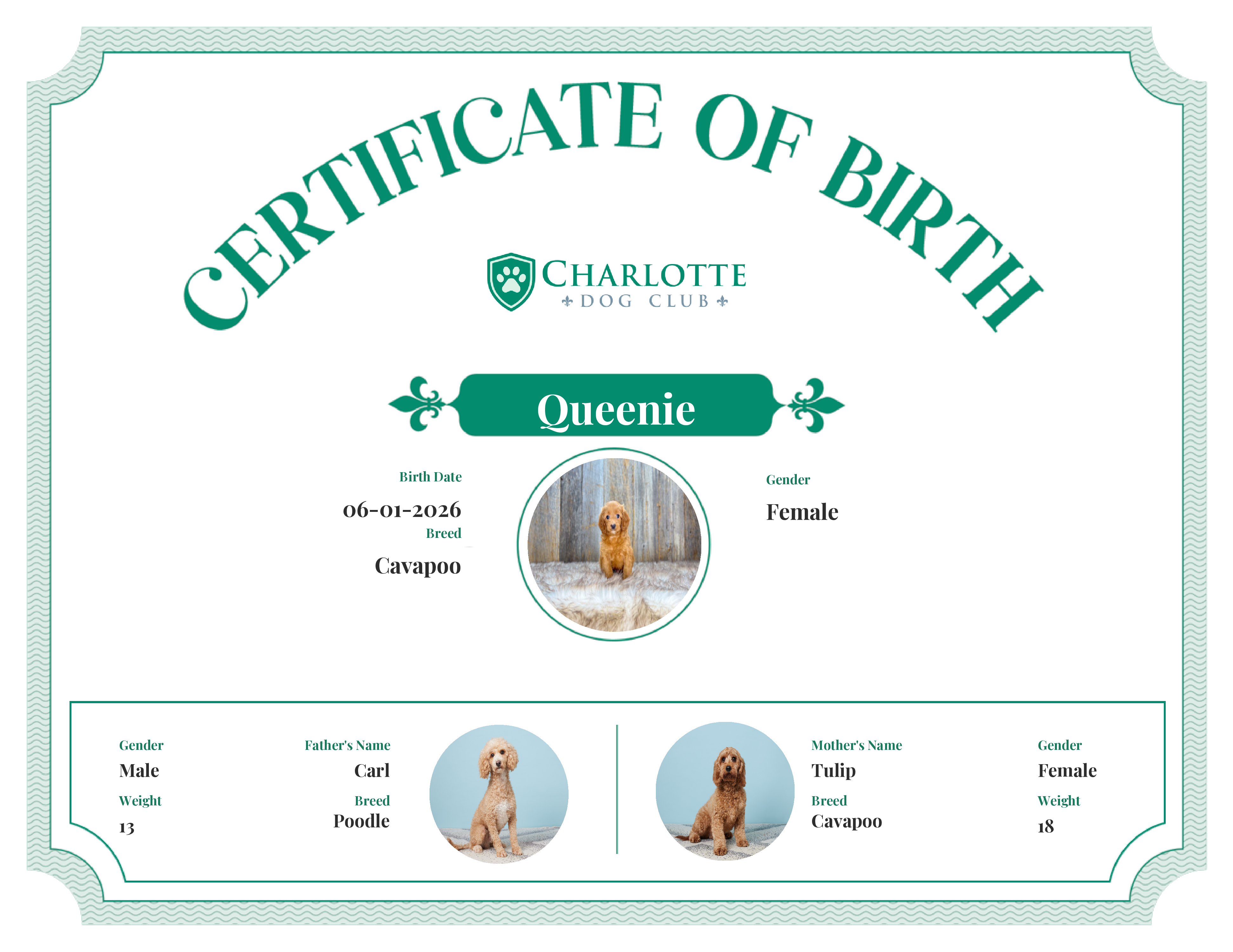 Queenie's Birth Certificate