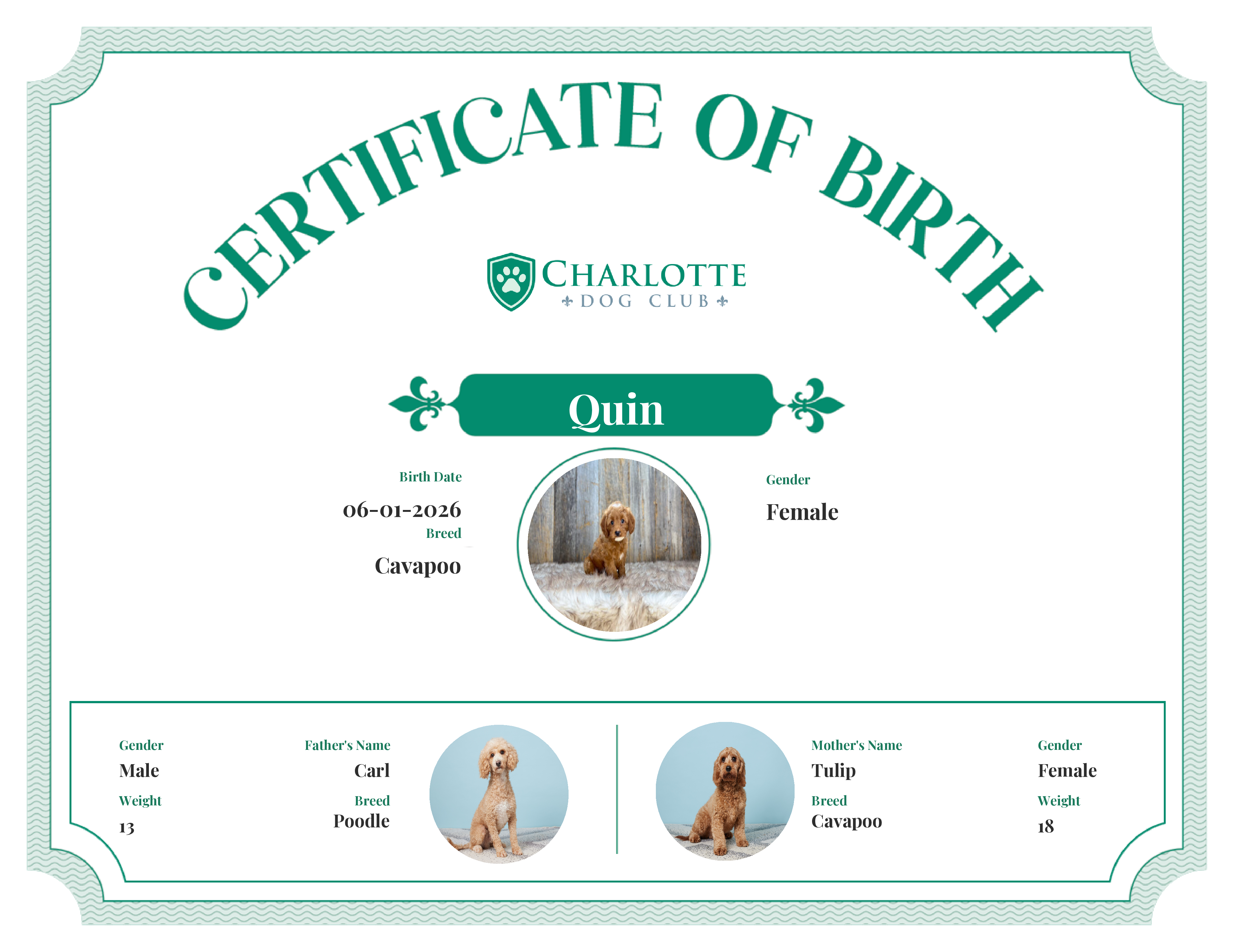 Quin's Birth Certificate