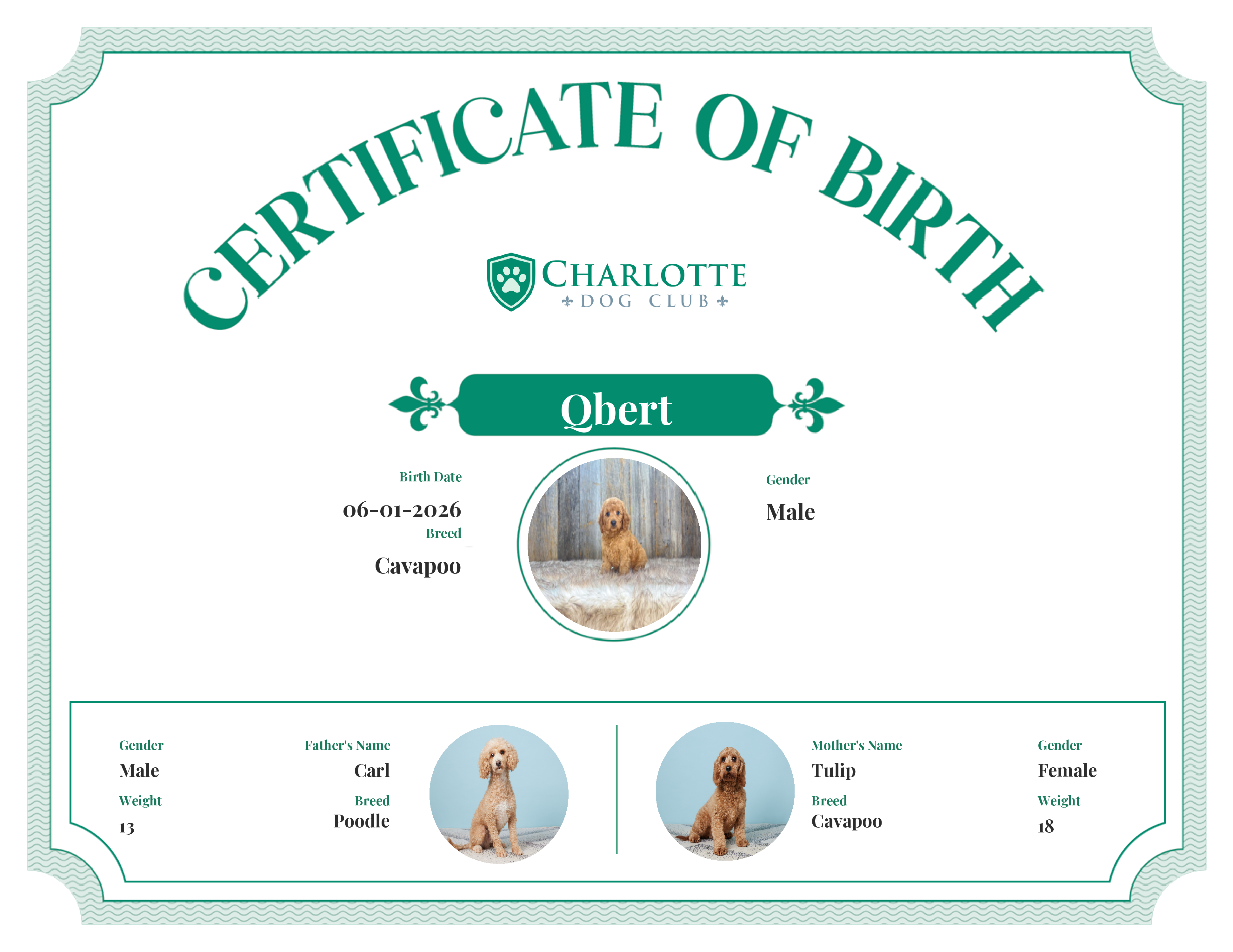 Qbert's Birth Certificate