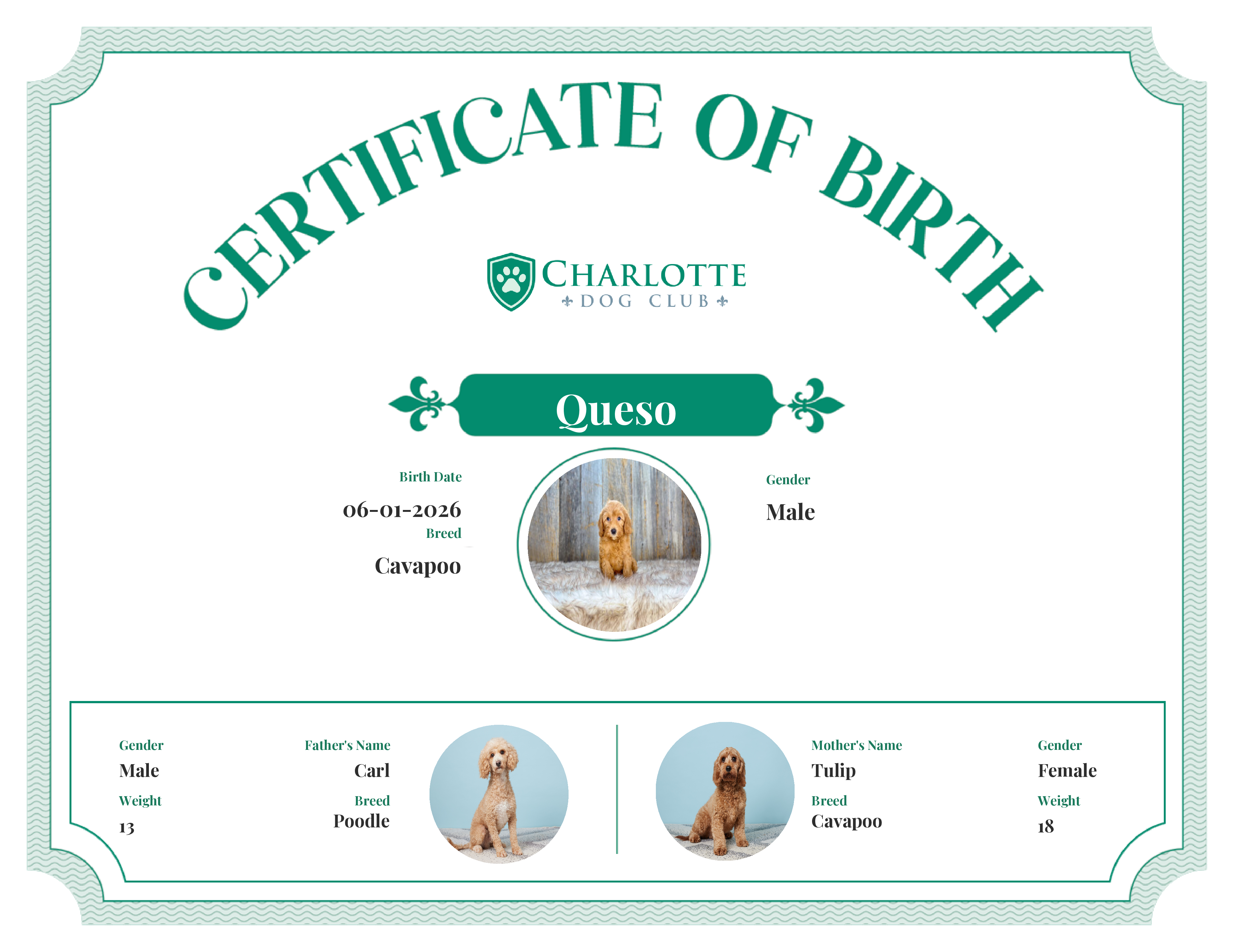 Queso's Birth Certificate