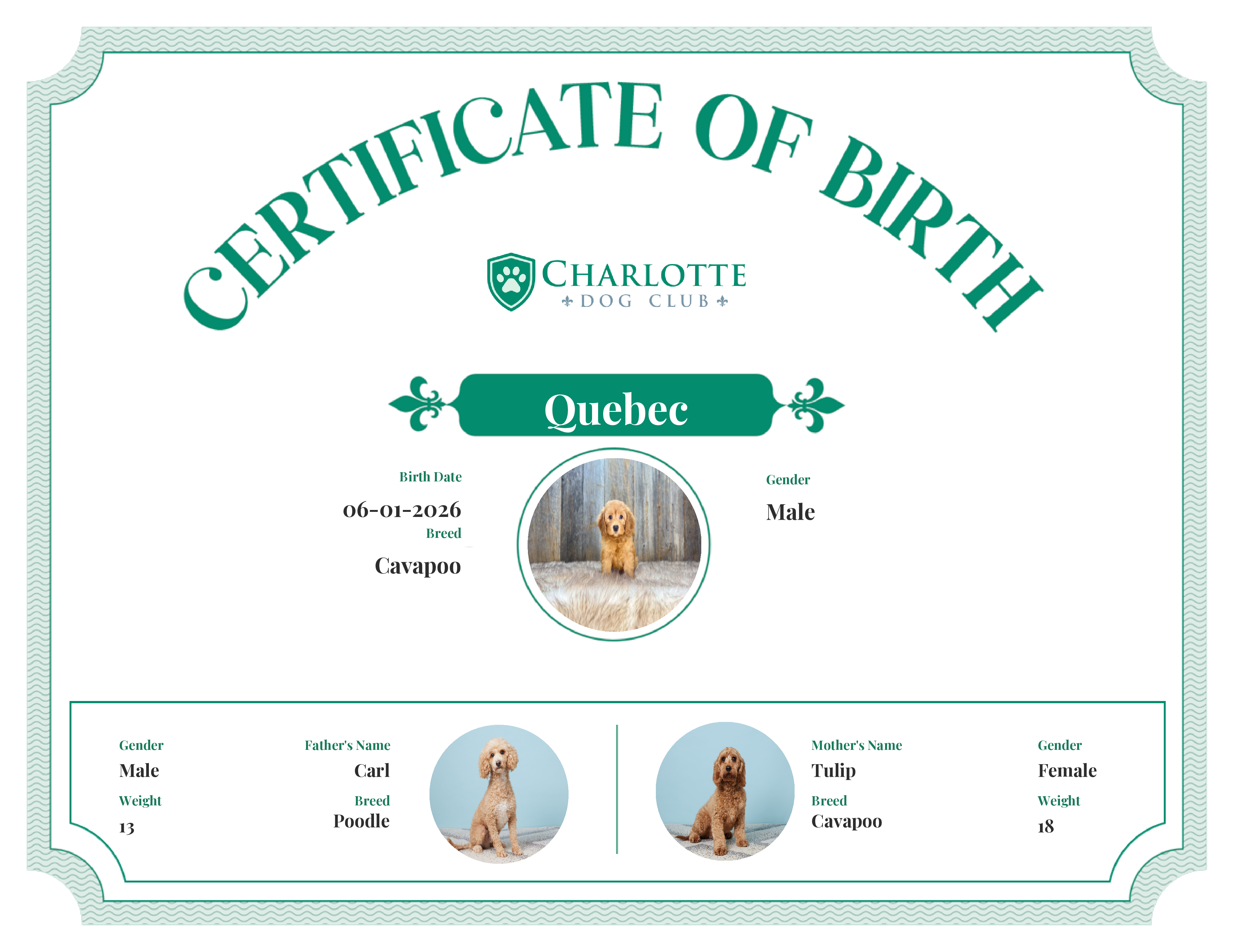 Quebec's Birth Certificate
