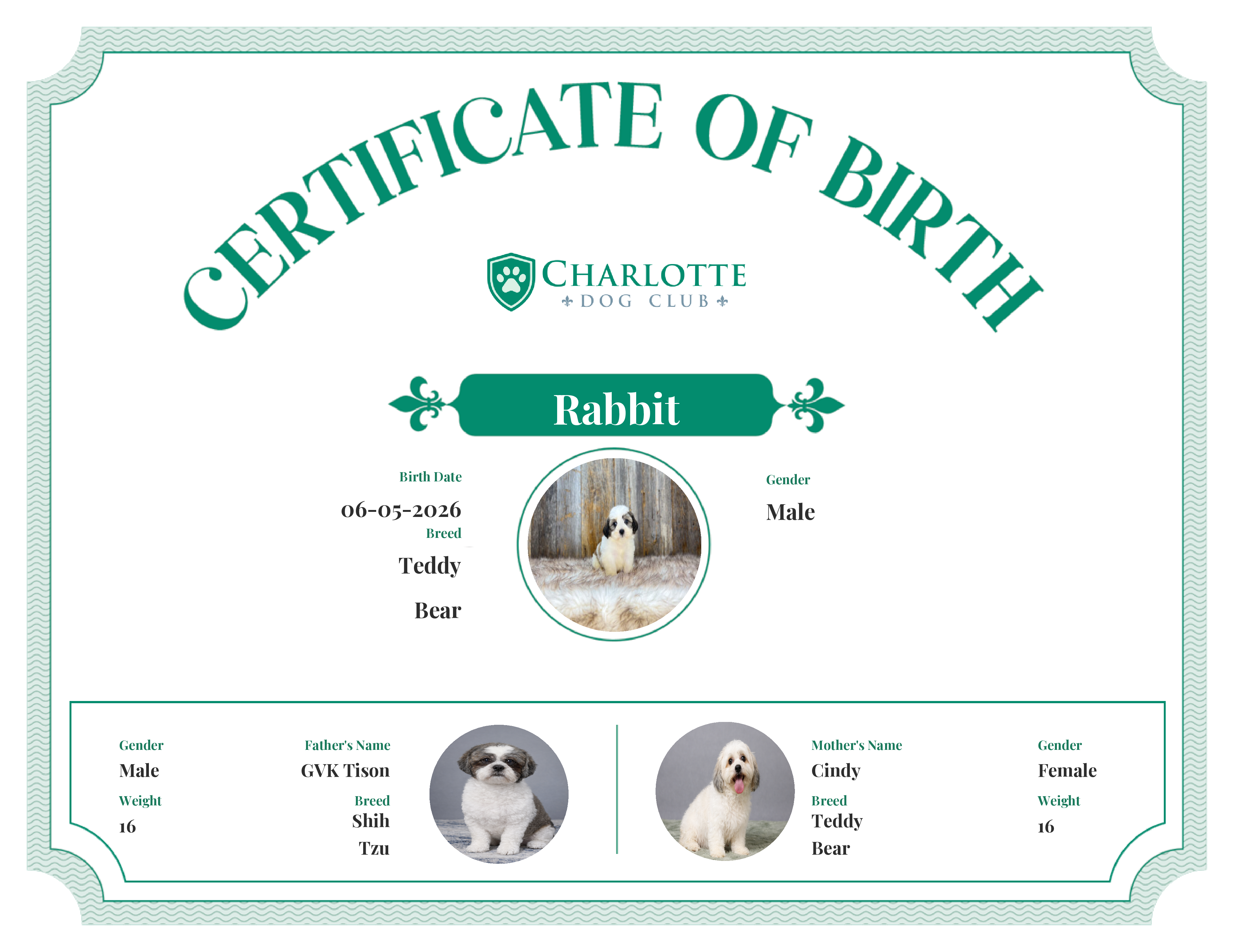 Rabbit's Birth Certificate