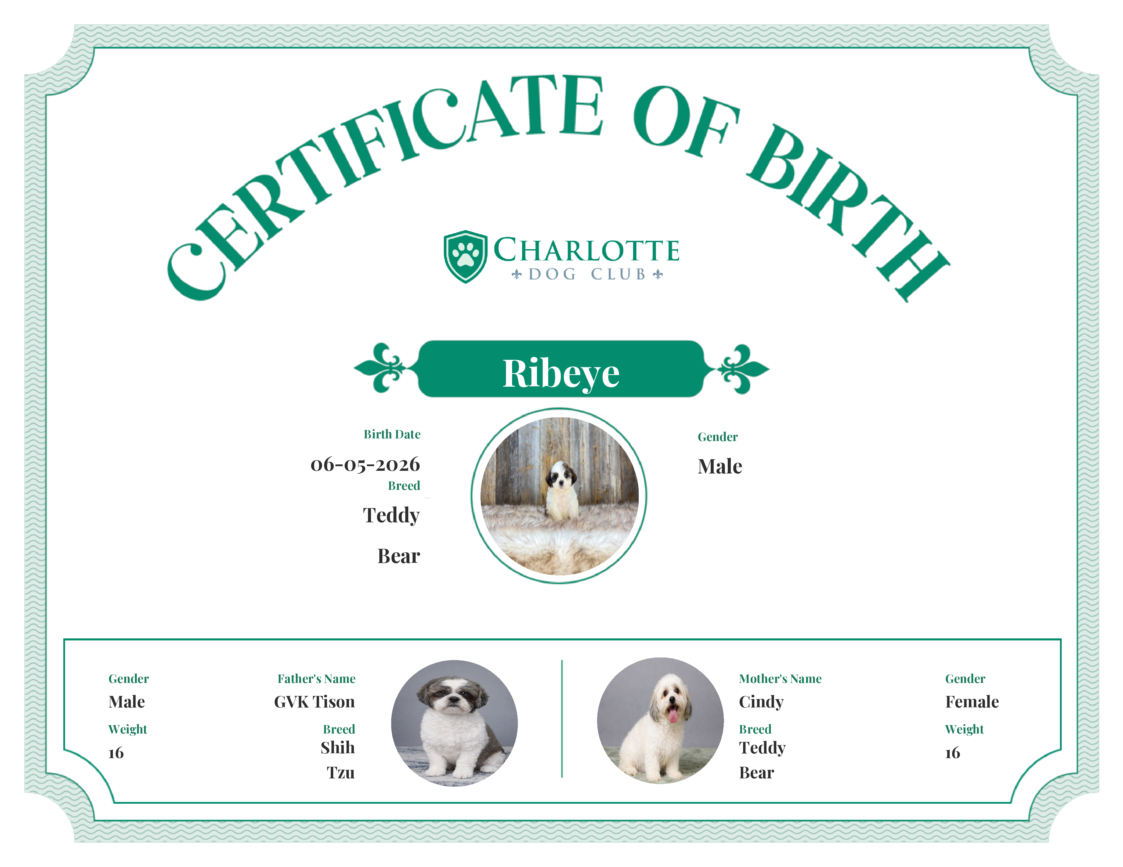 Ribeye's Birth Certificate