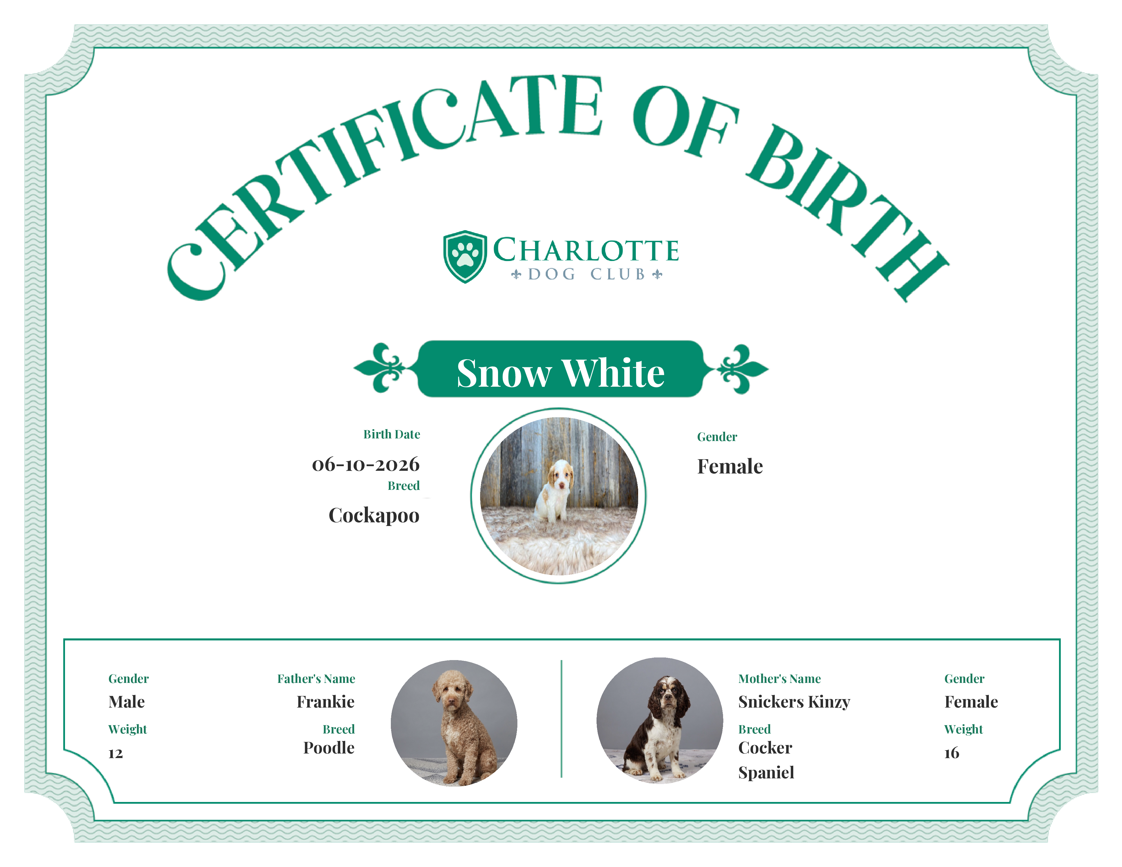 Snow White's Birth Certificate