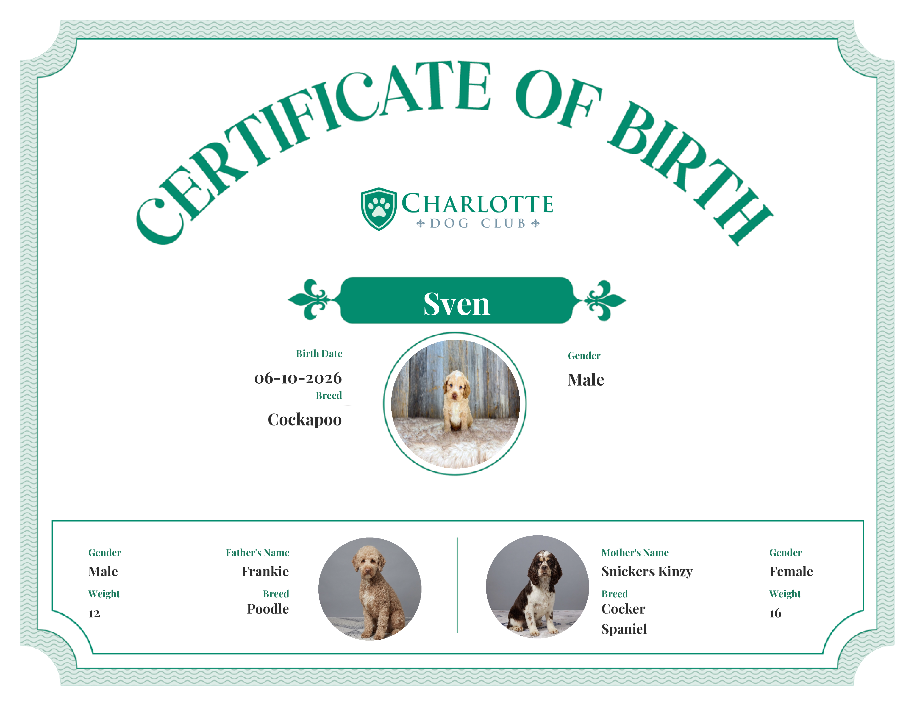 Sven's Birth Certificate