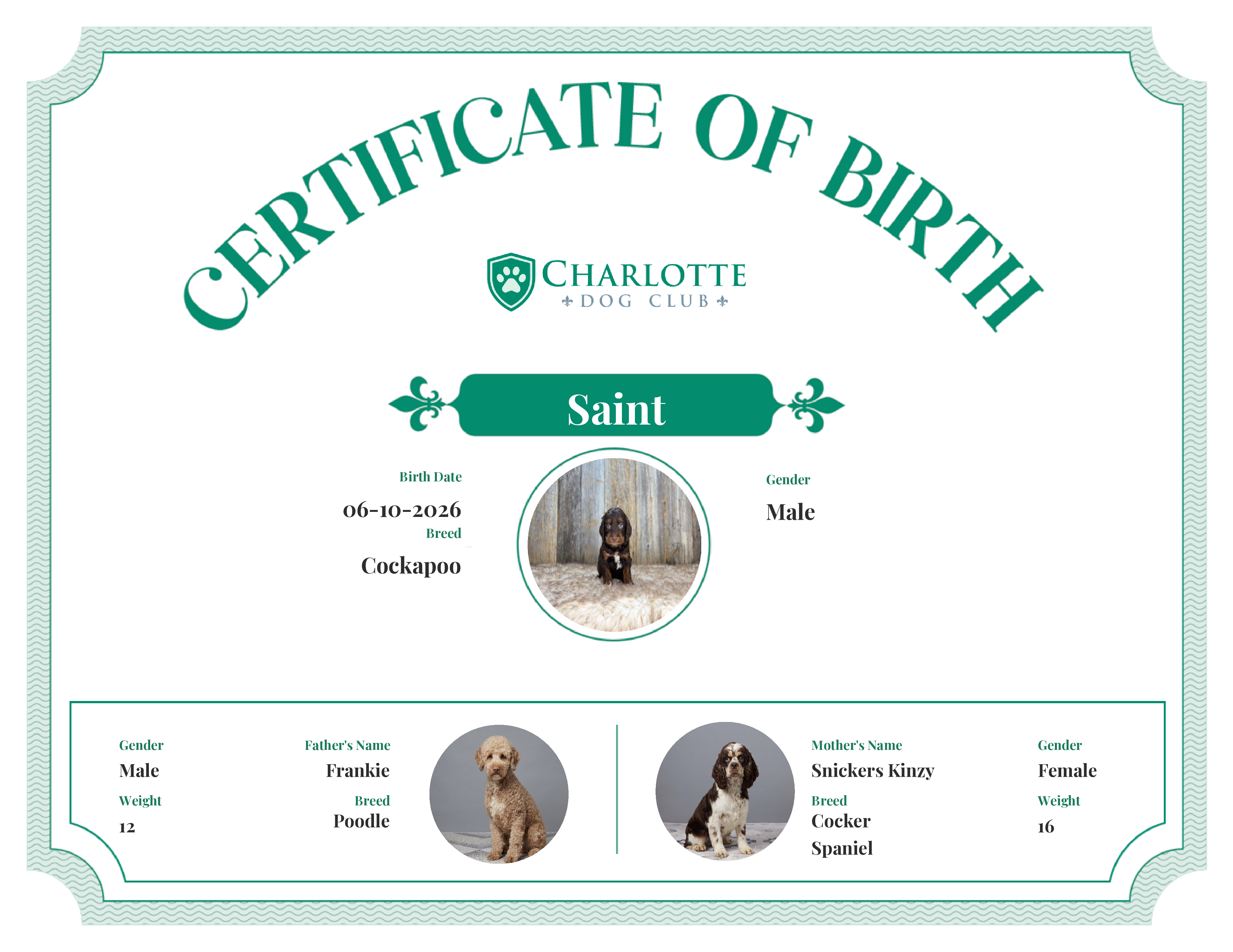 Saint's Birth Certificate