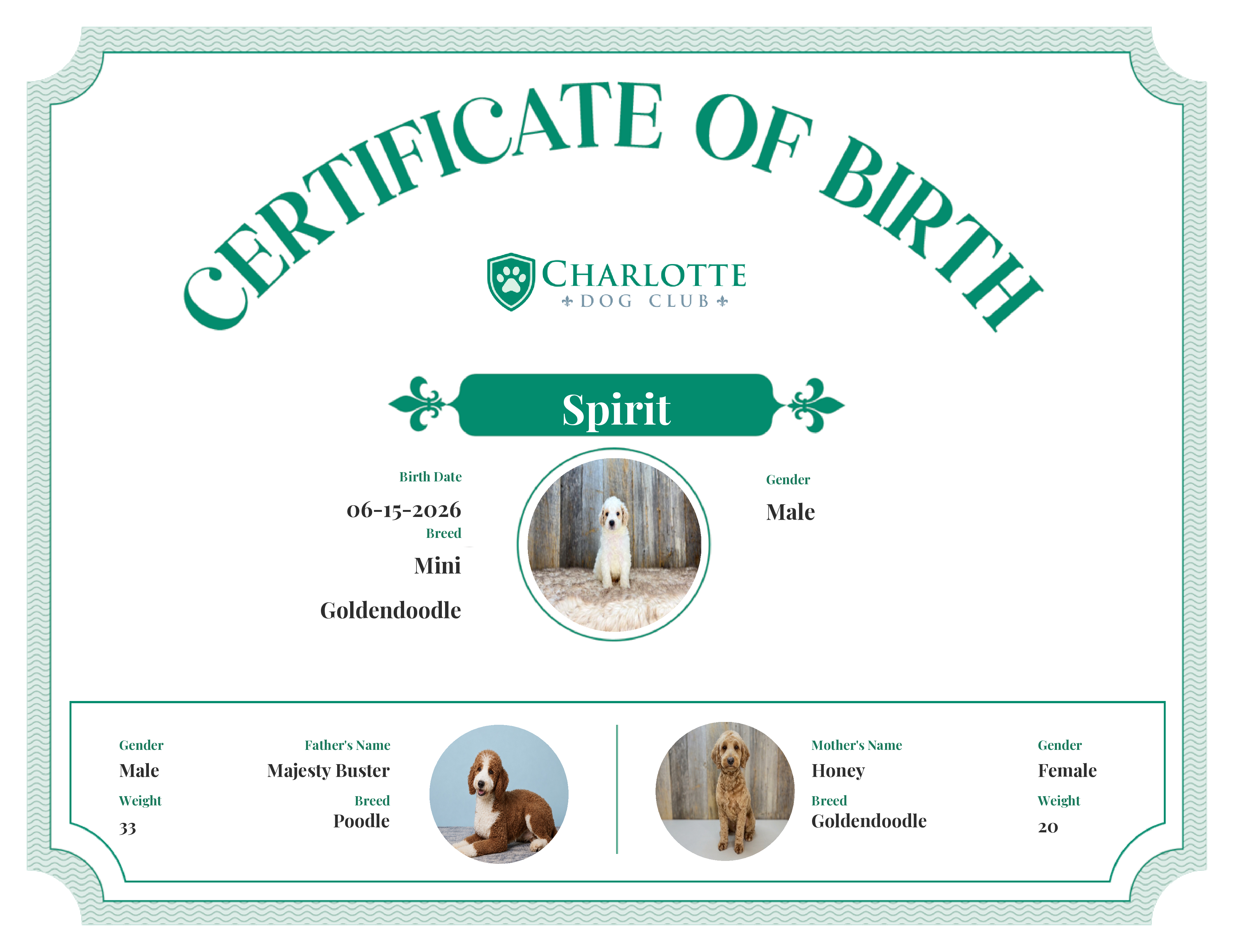 Spirit's Birth Certificate