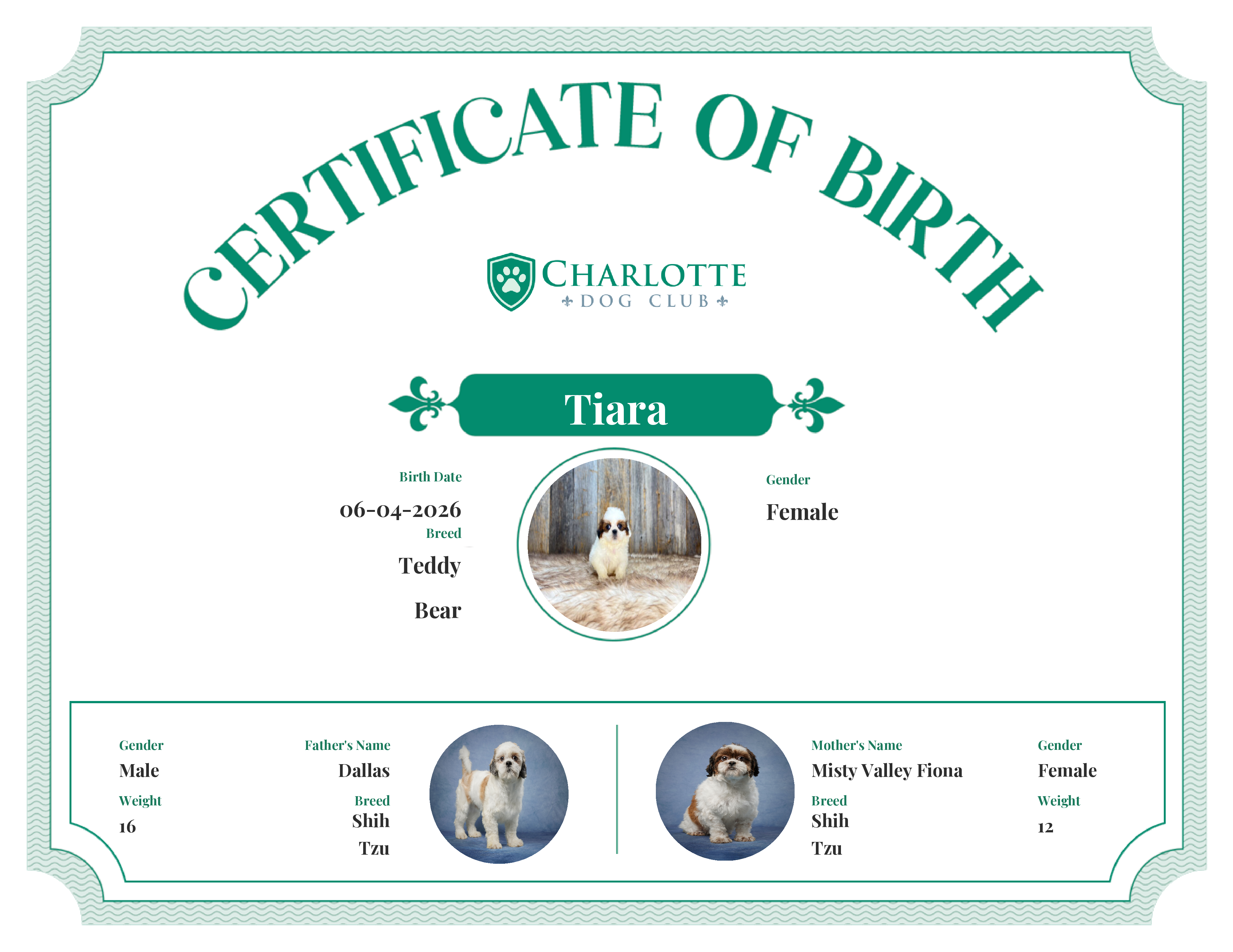 Tiara's Birth Certificate