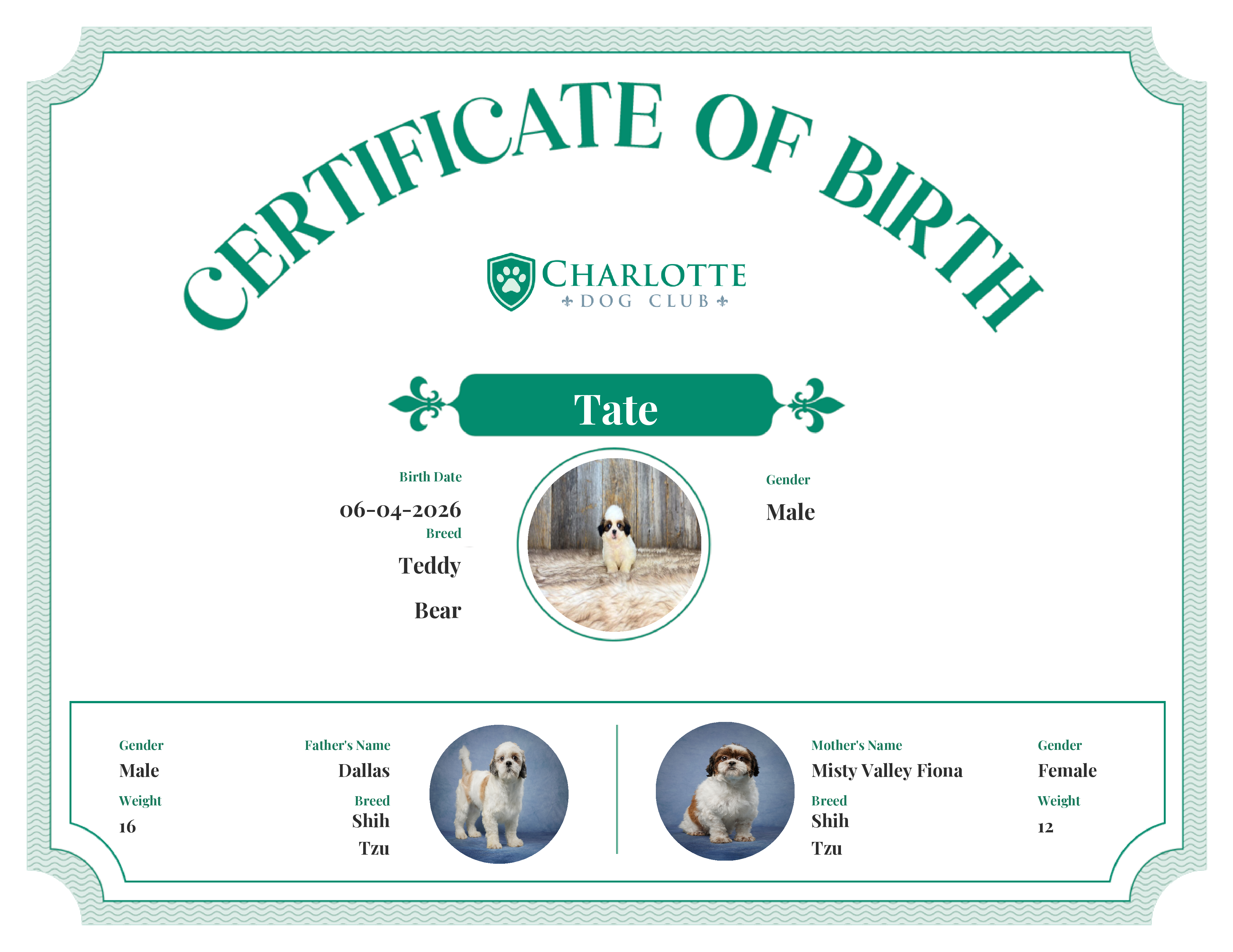 Tate's Birth Certificate