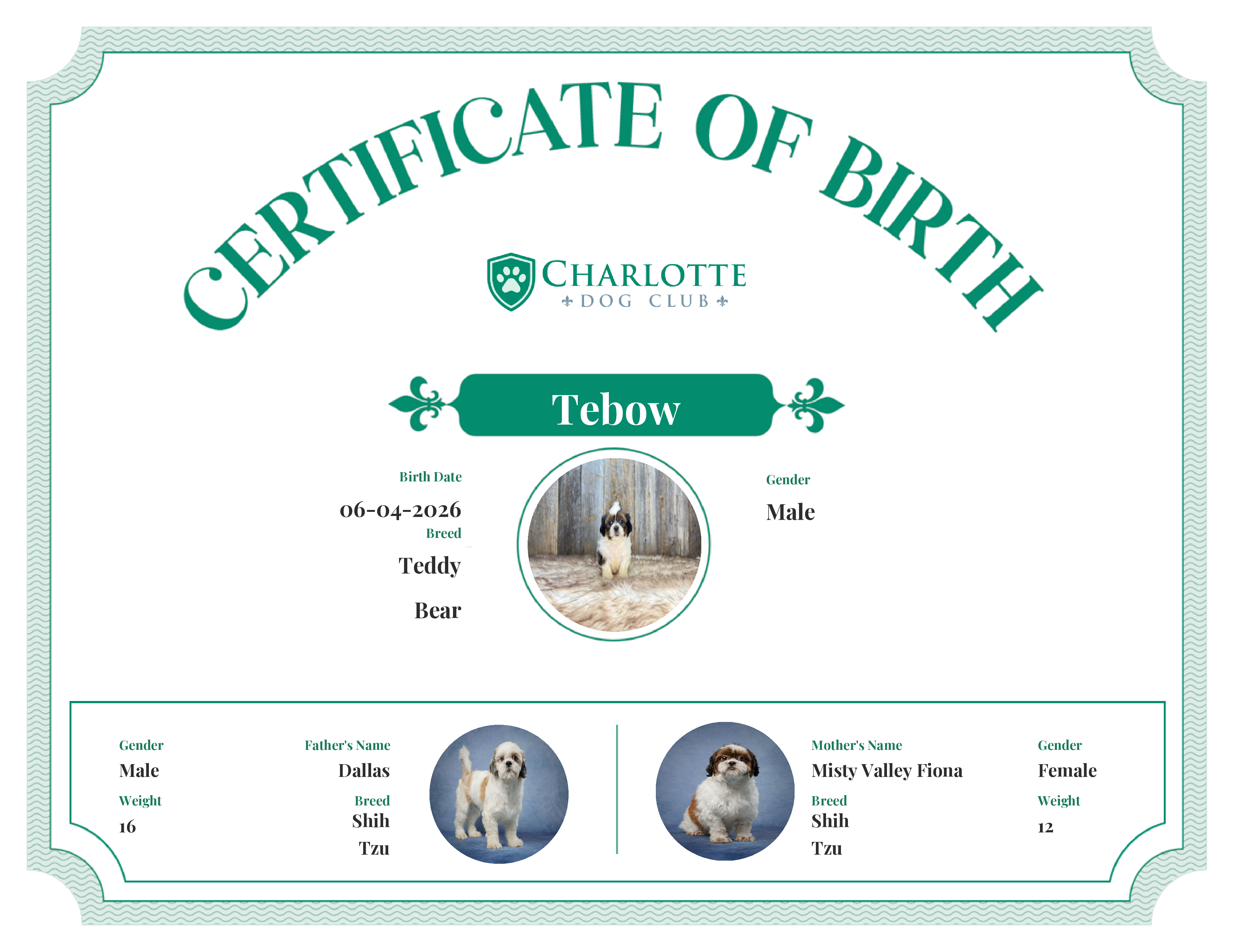 Tebow's Birth Certificate