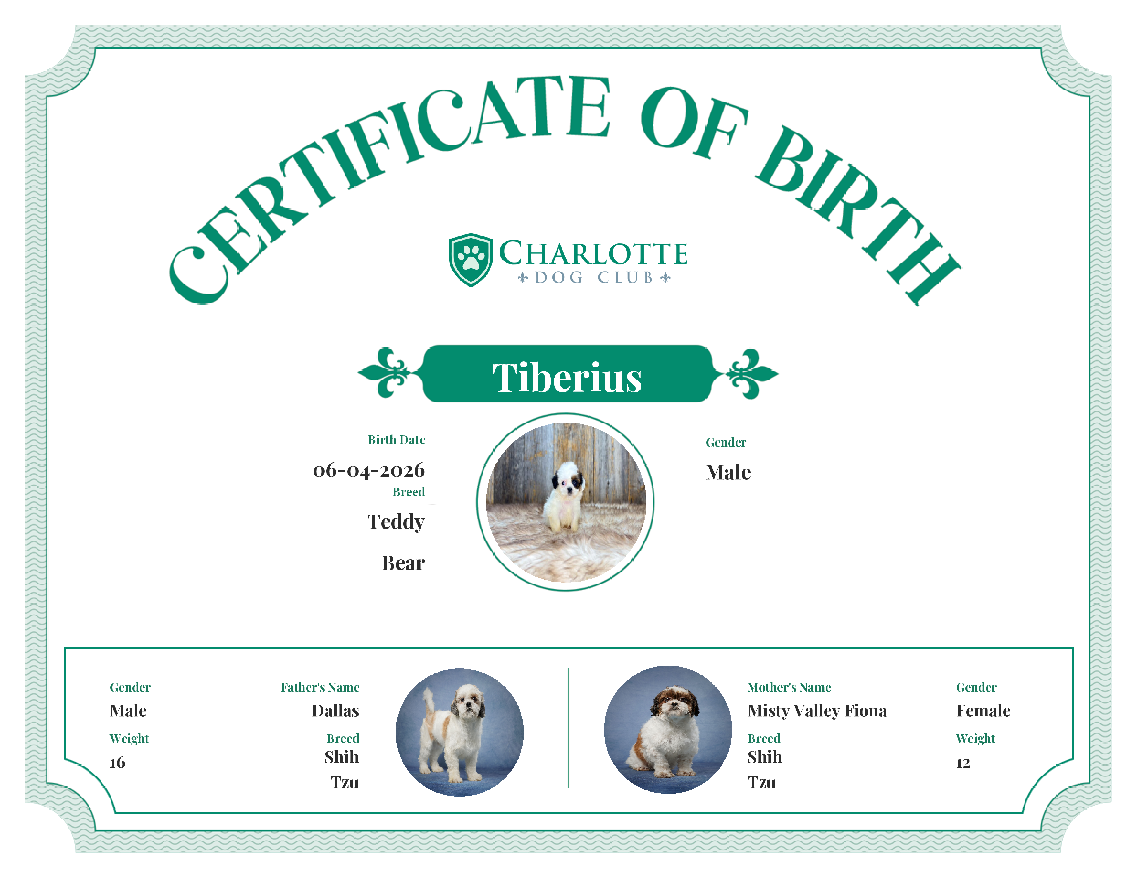Tiberius's Birth Certificate