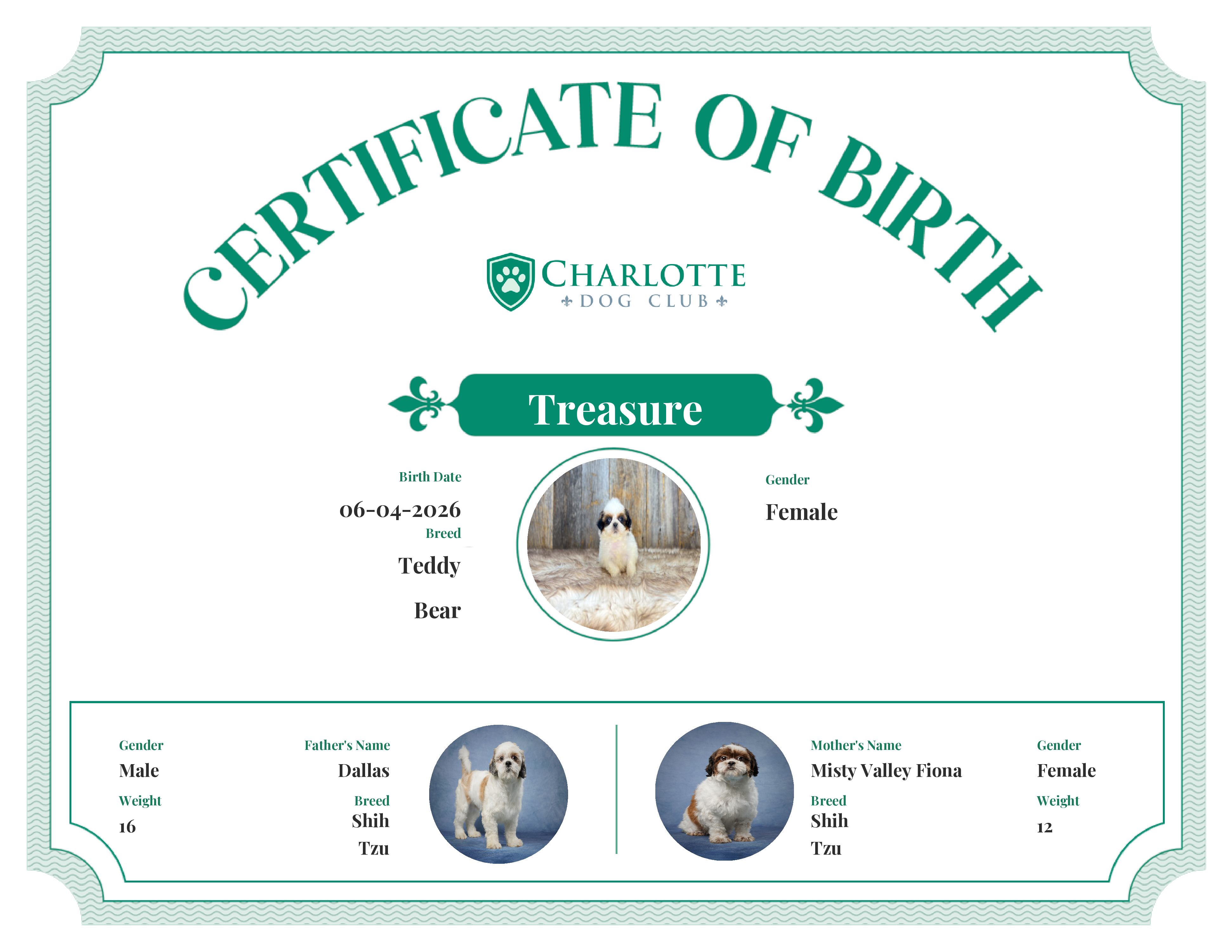 Treasure's Birth Certificate