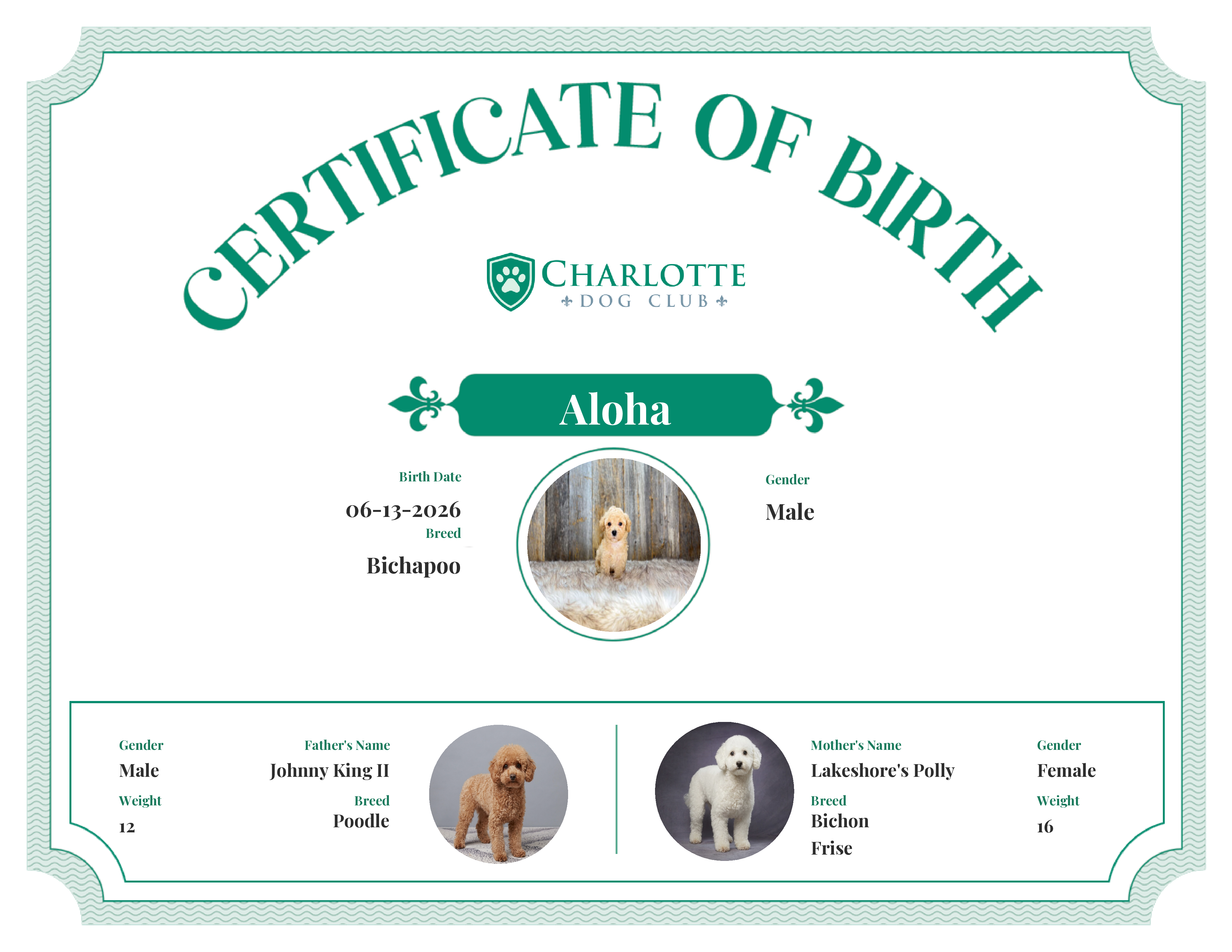 Aloha's Birth Certificate