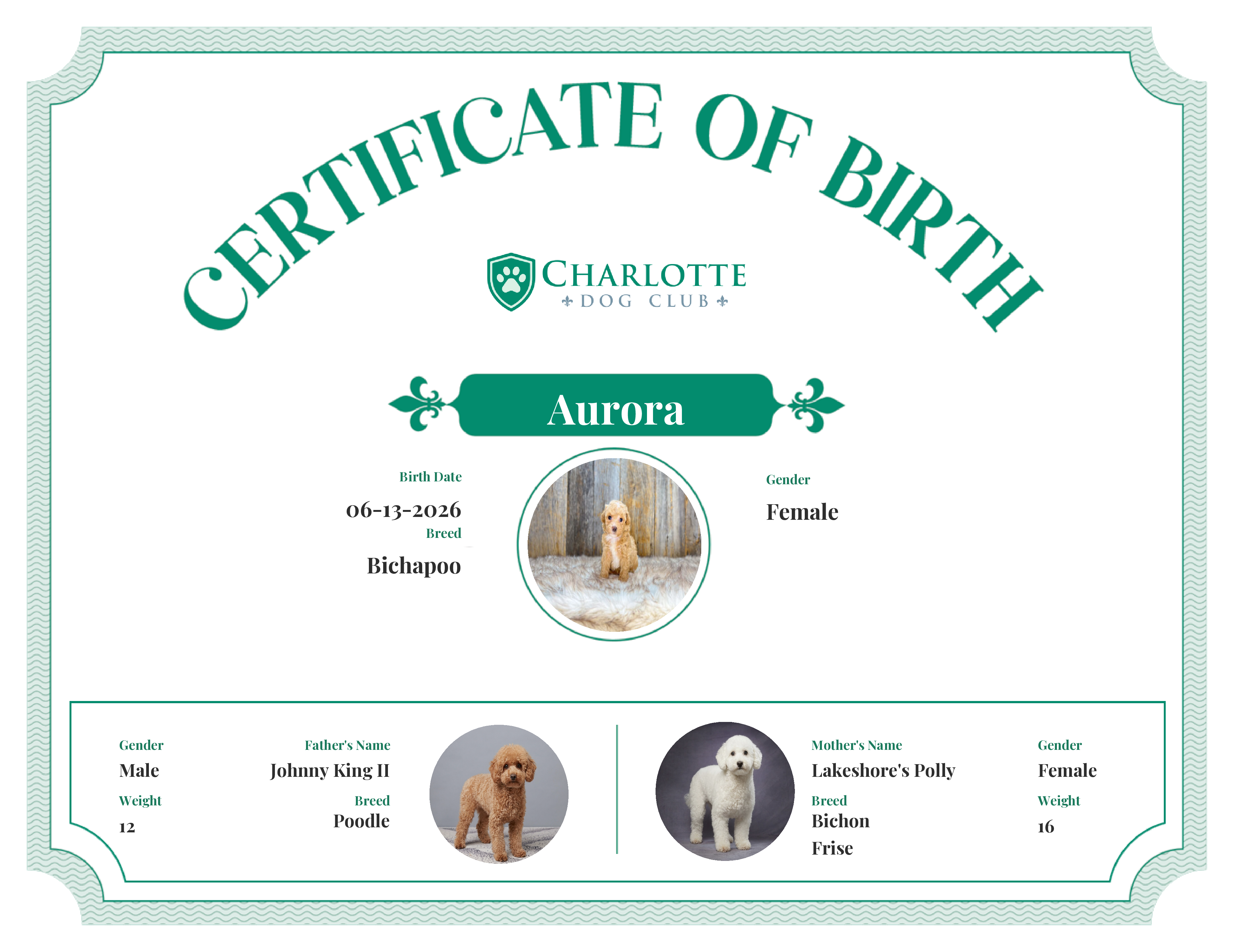 Aurora's Birth Certificate