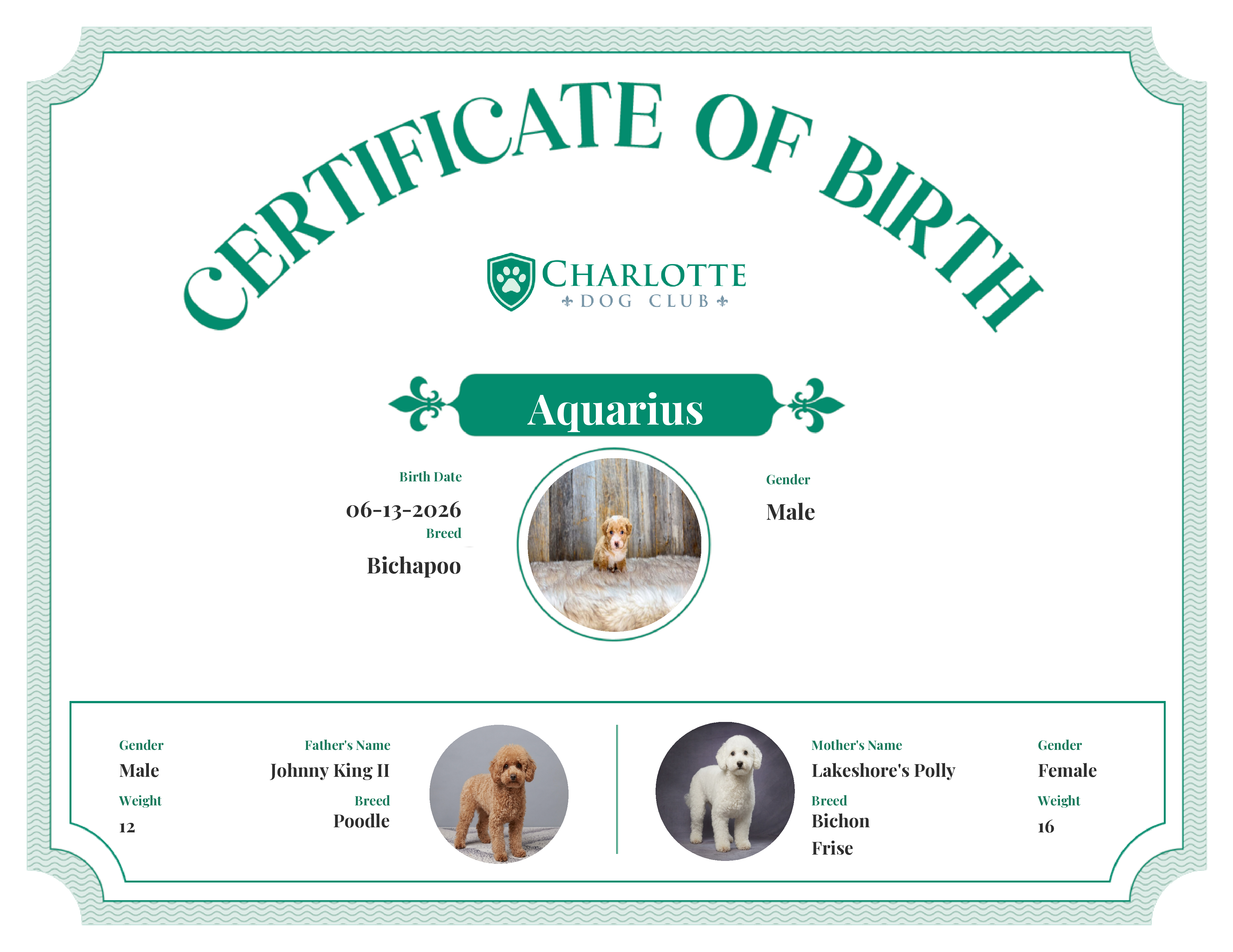Aquarius's Birth Certificate