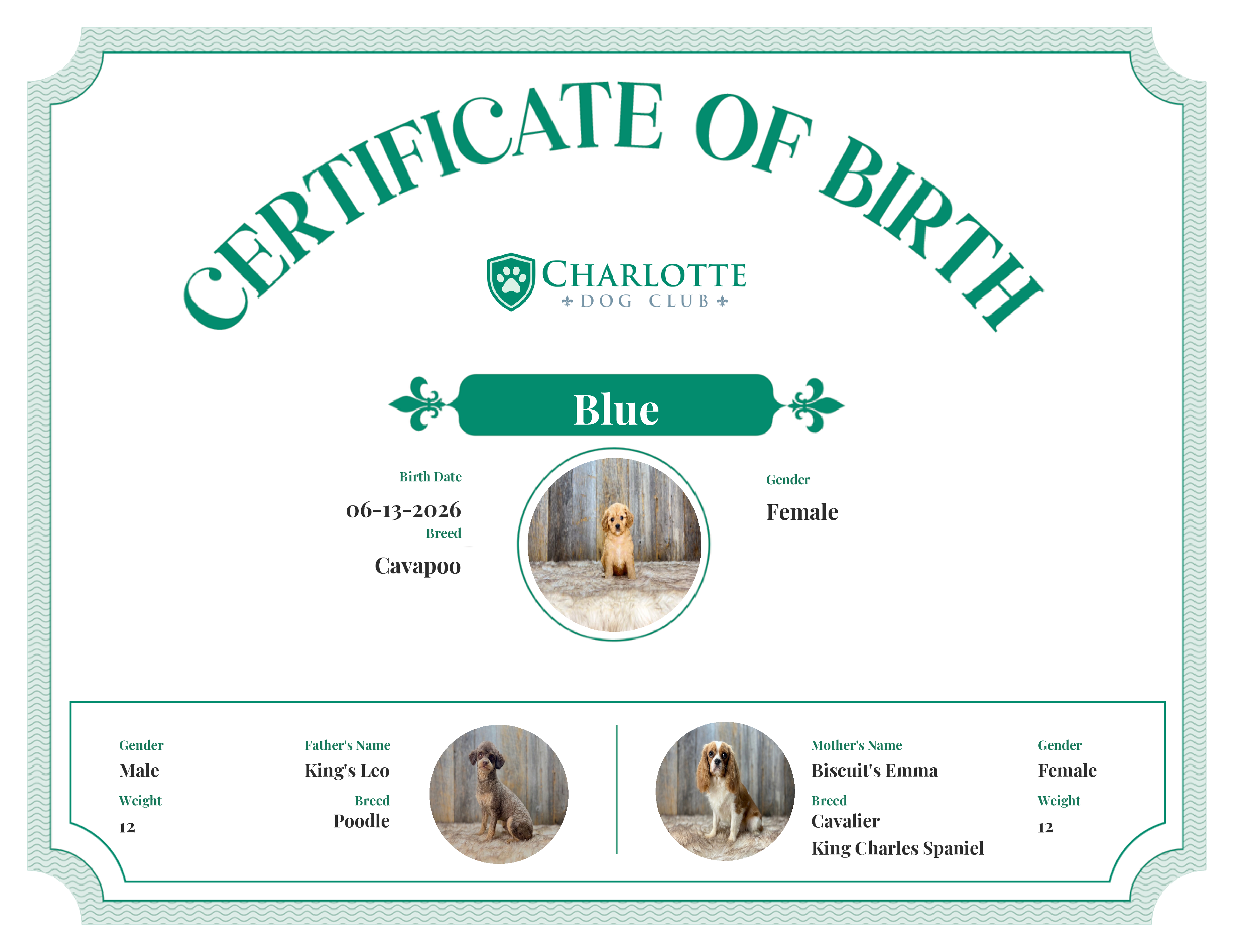Blue's Birth Certificate