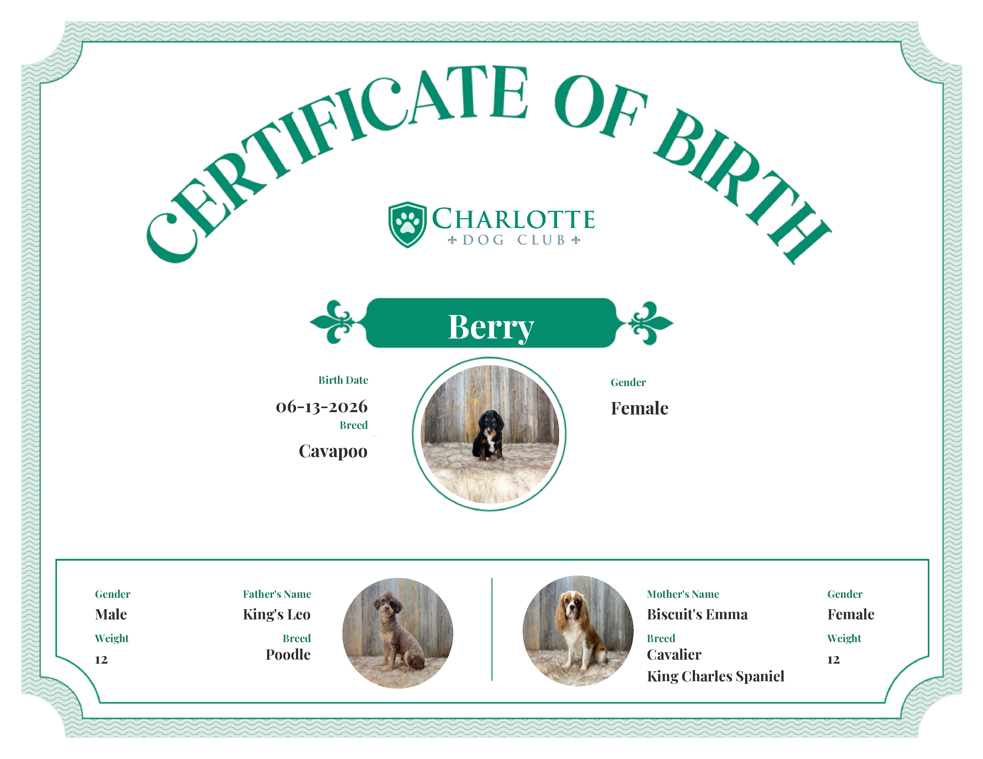 Berry's Birth Certificate