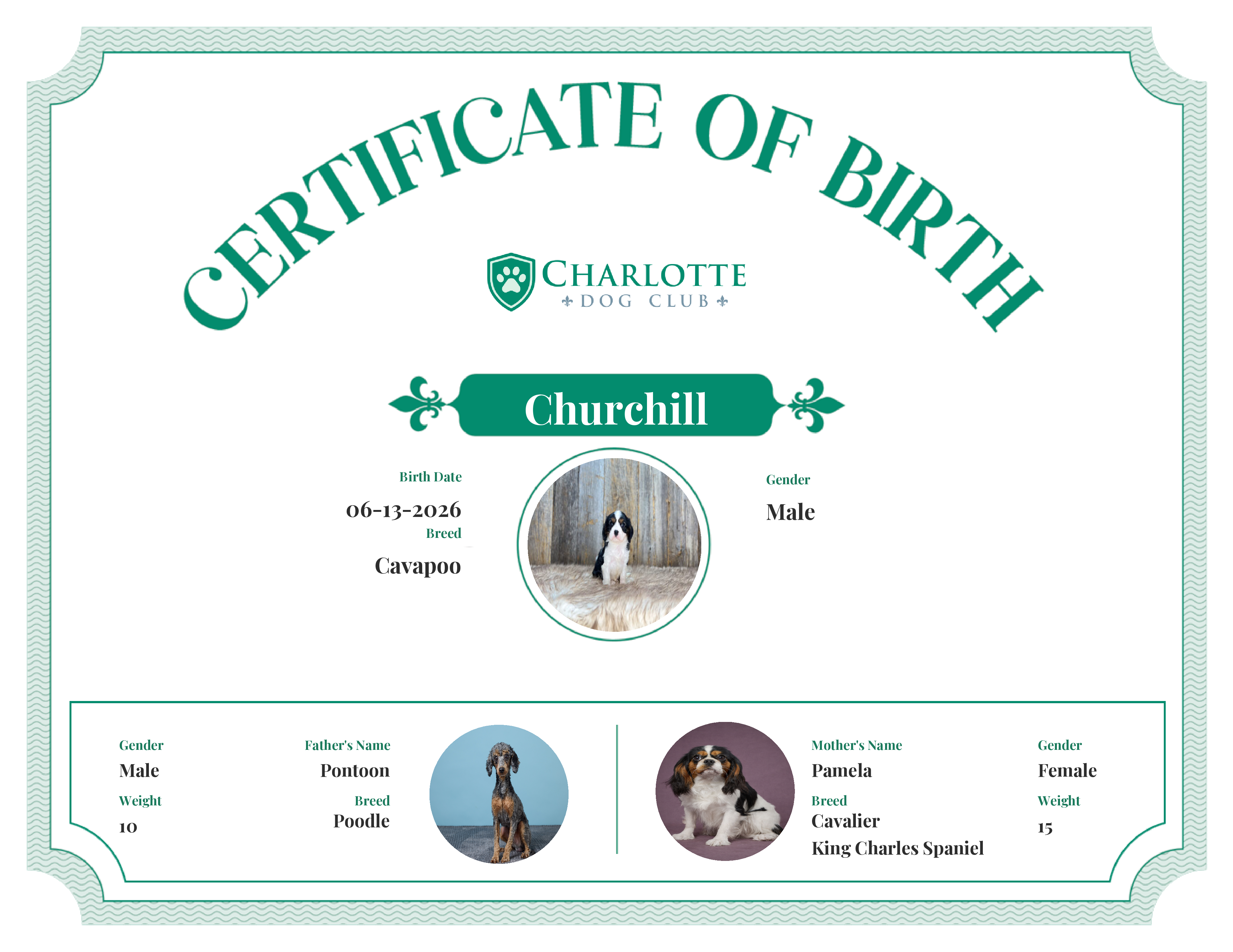Churchill's Birth Certificate