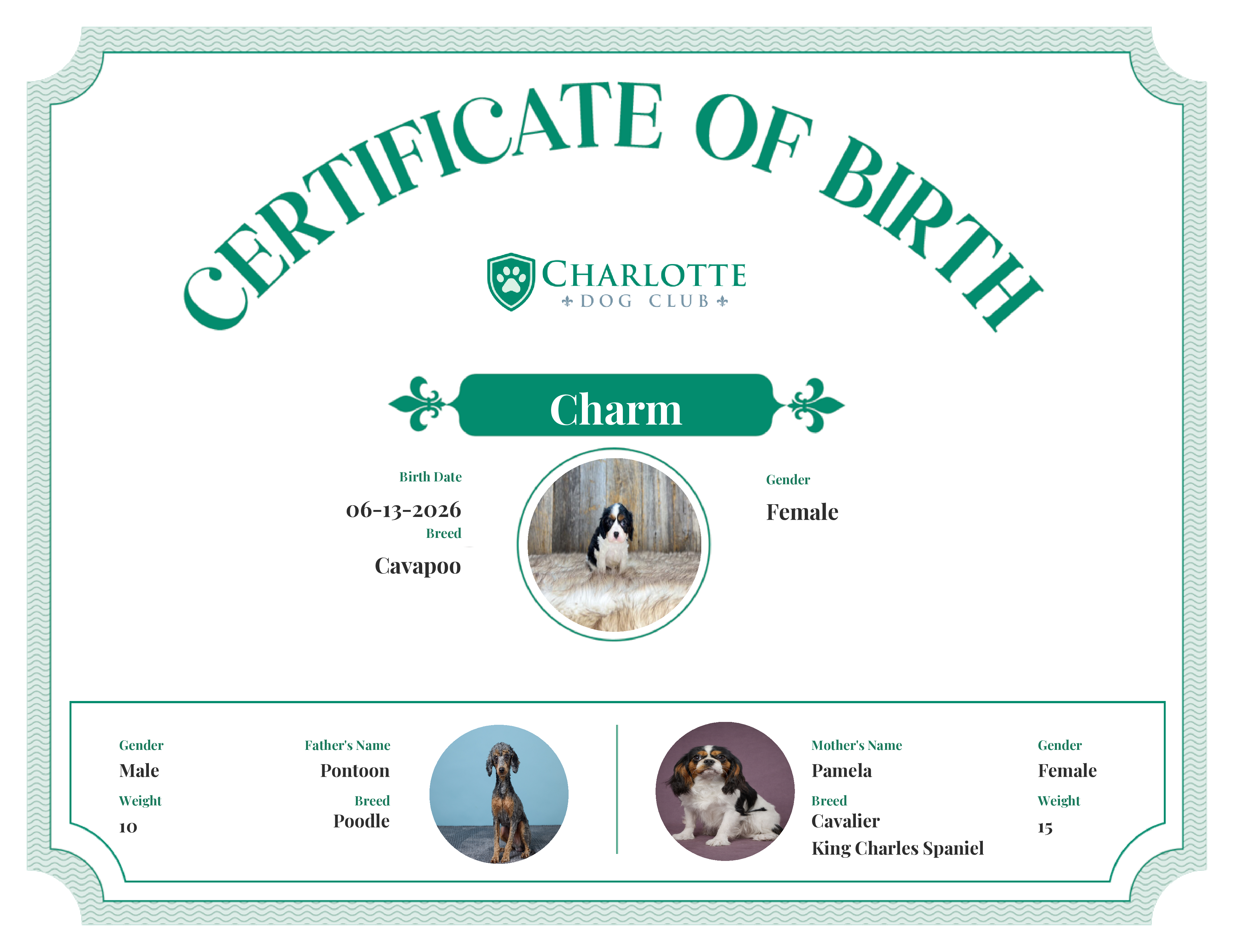 Charm's Birth Certificate