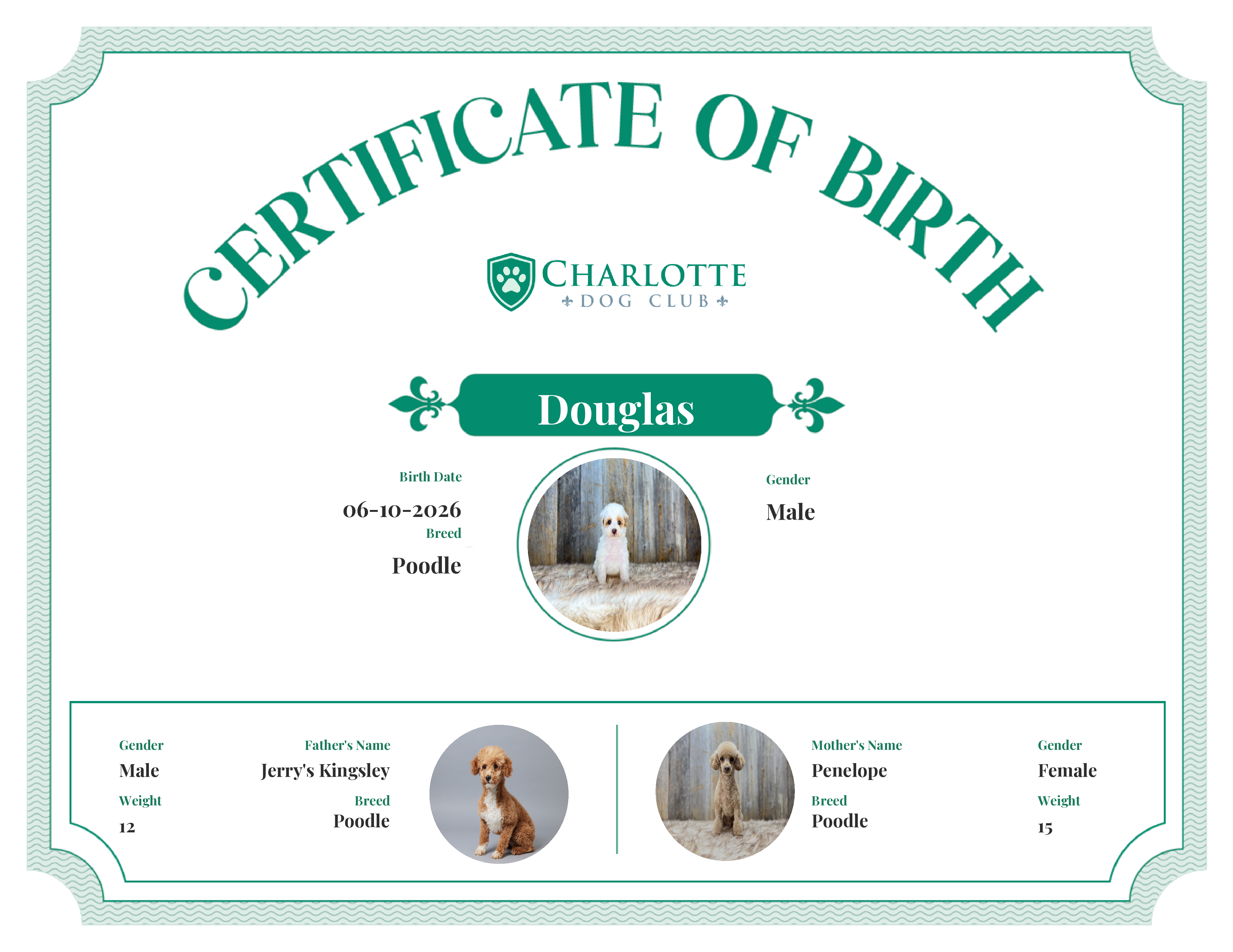 Douglas's Birth Certificate