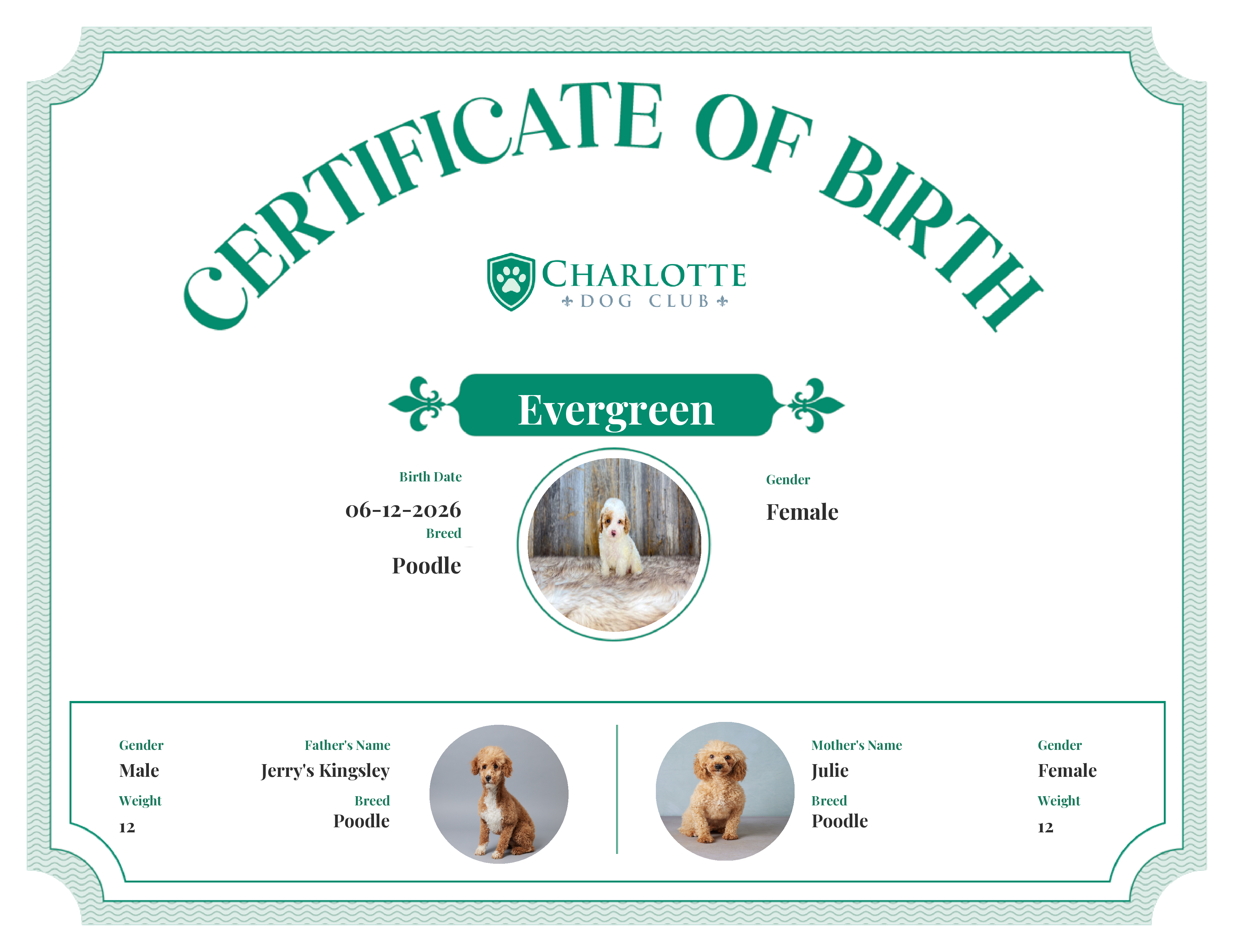 Evergreen's Birth Certificate