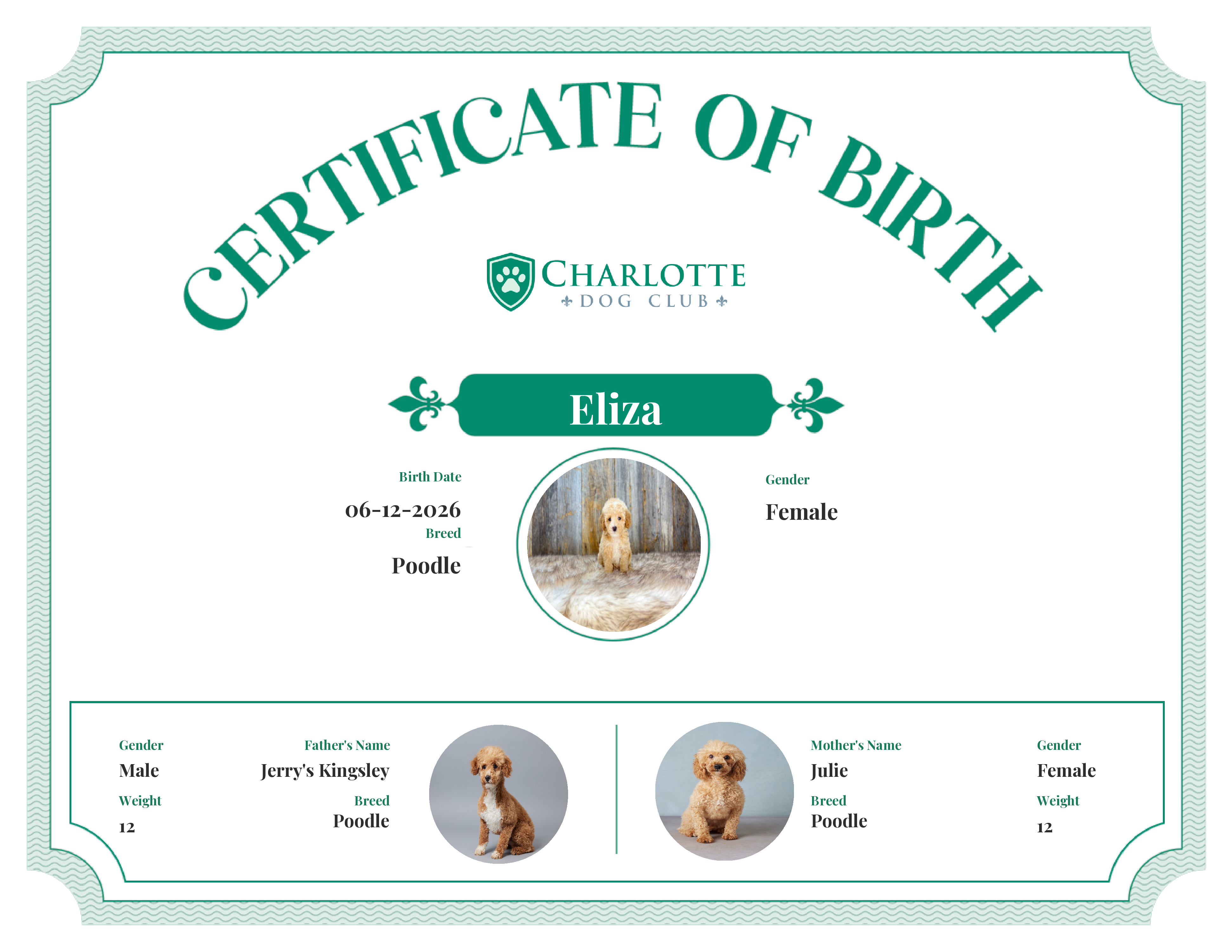 Eliza's Birth Certificate