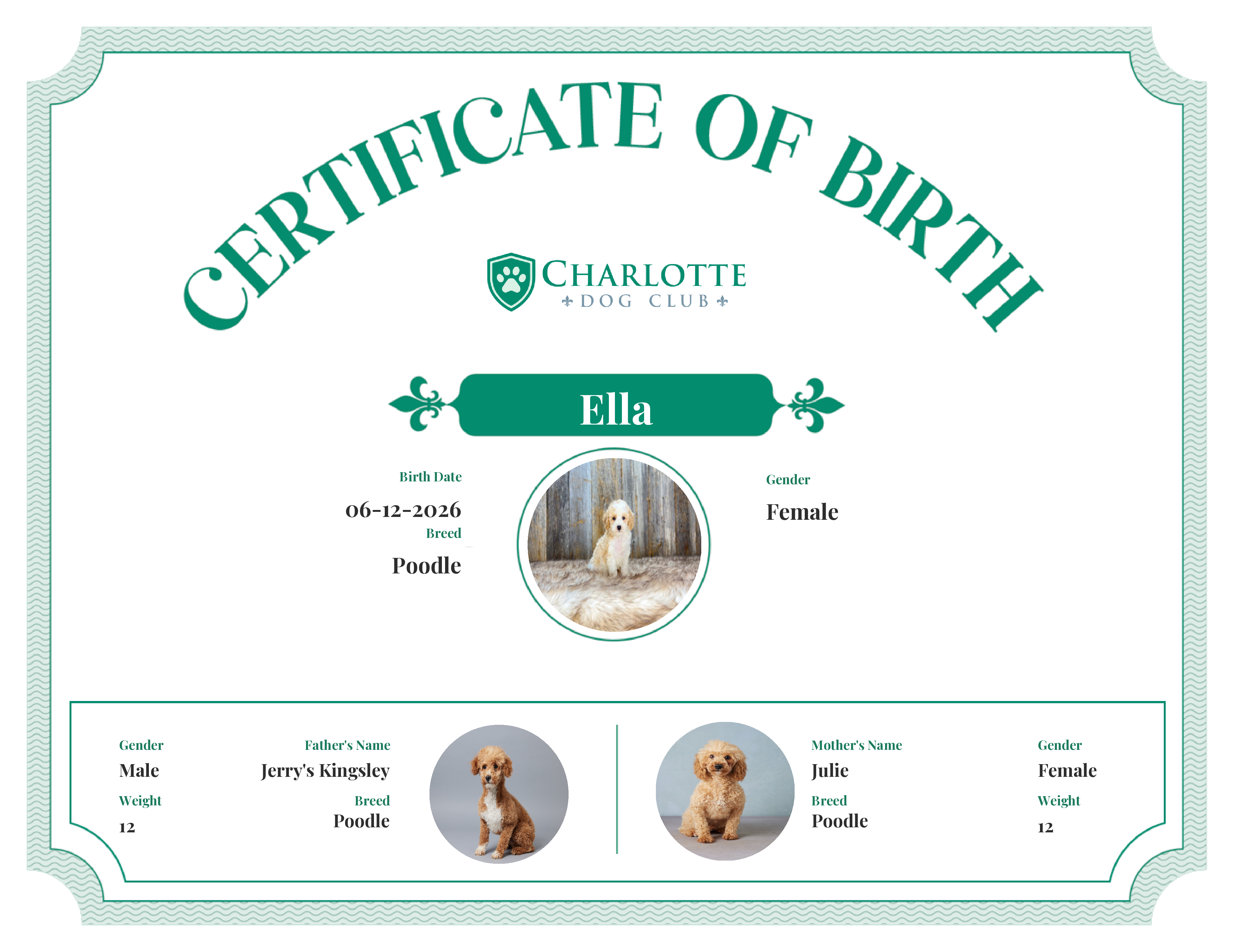 Ella's Birth Certificate