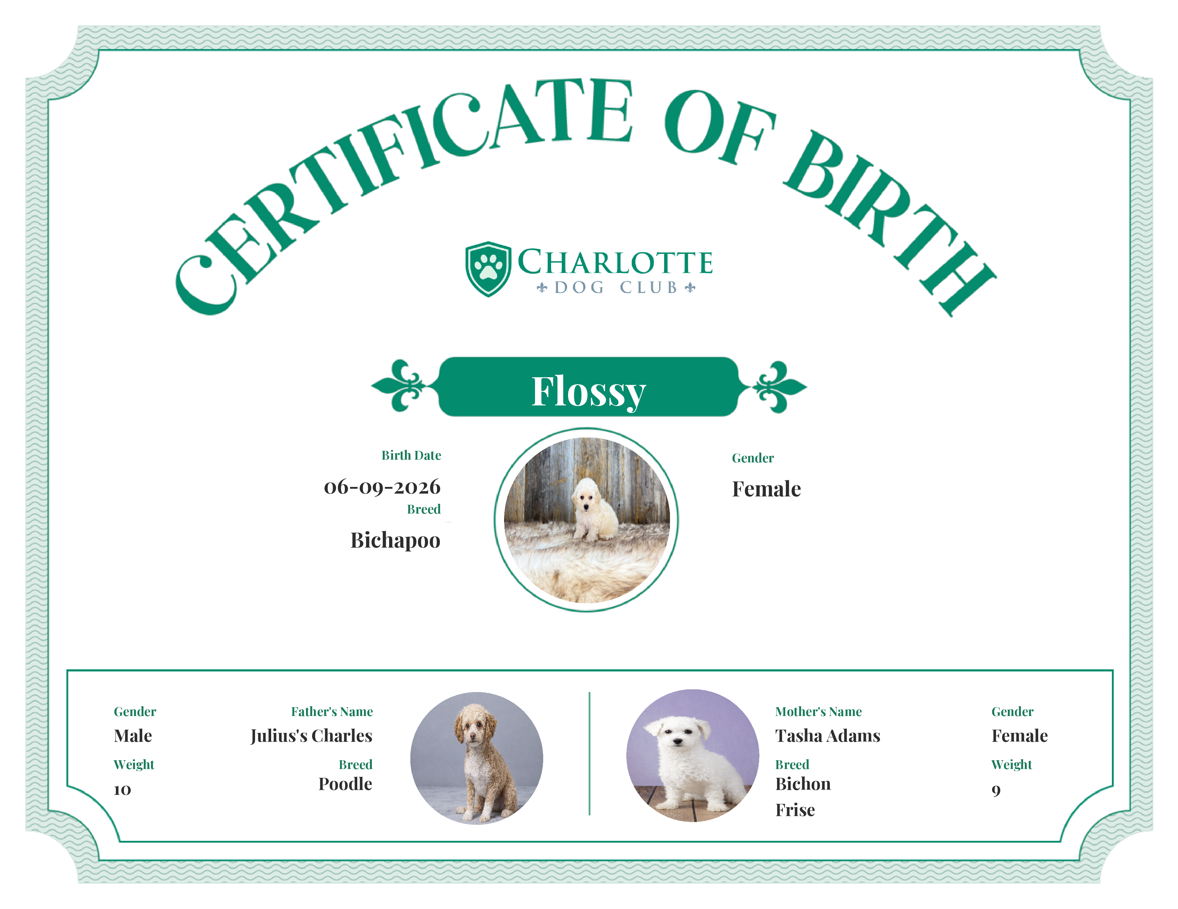 Flossy's Birth Certificate