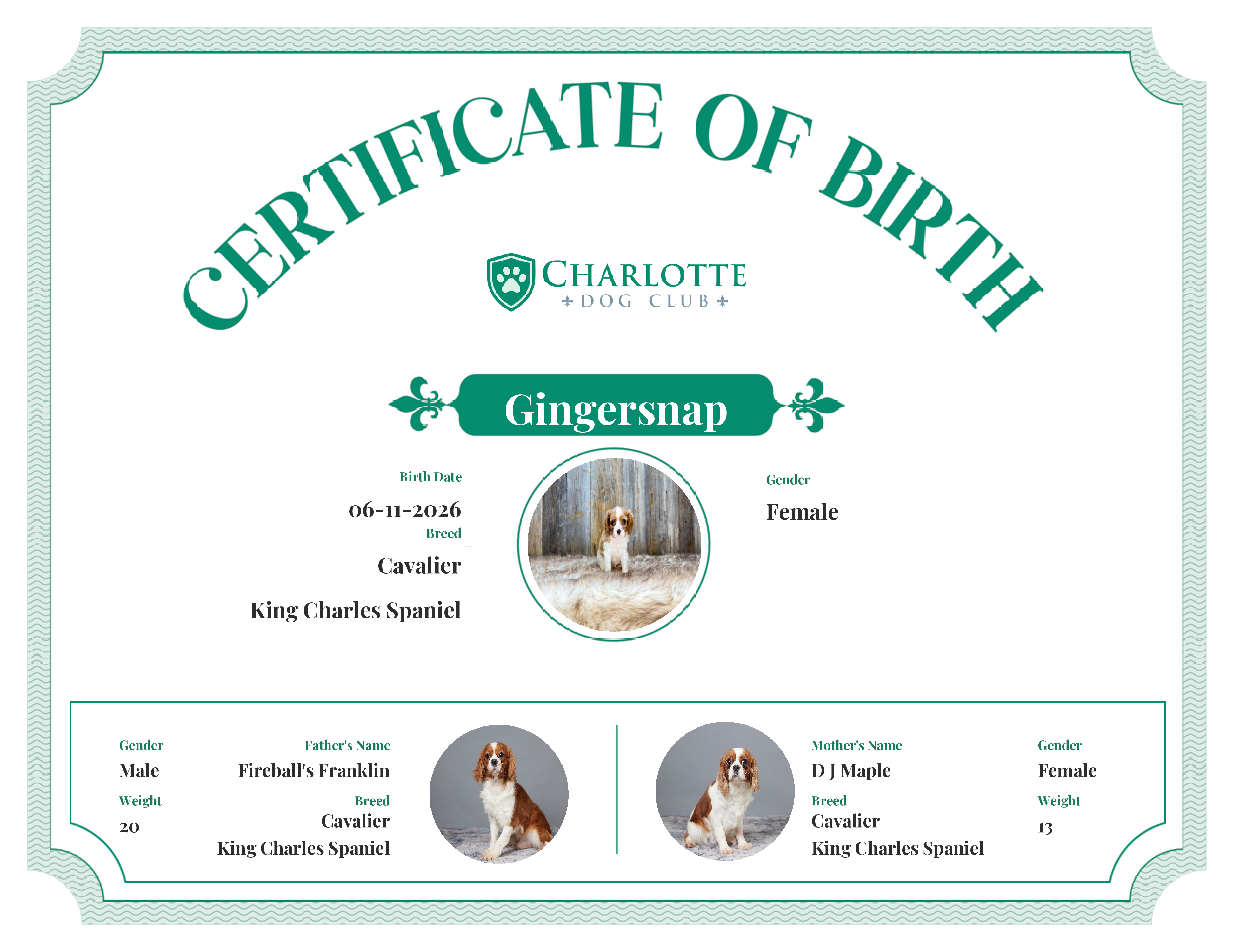 Gingersnap's Birth Certificate