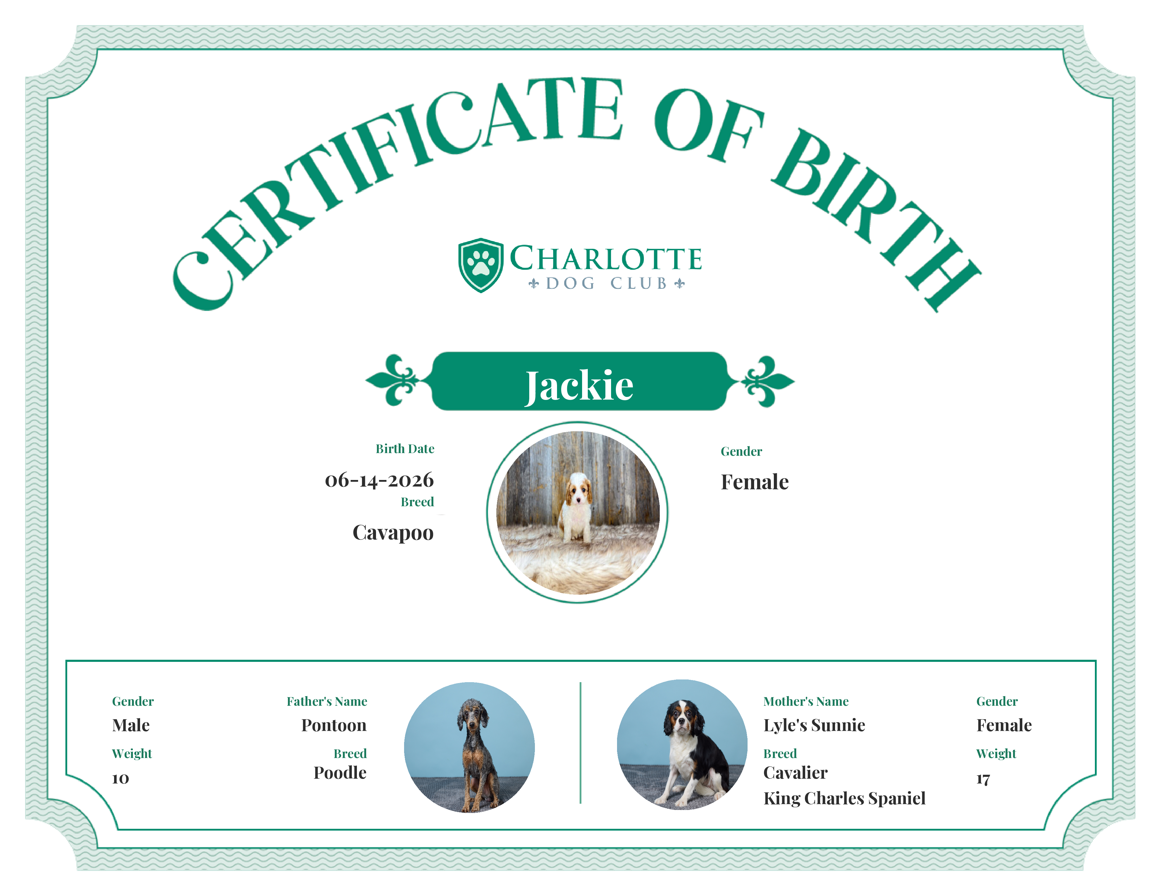 Jackie's Birth Certificate