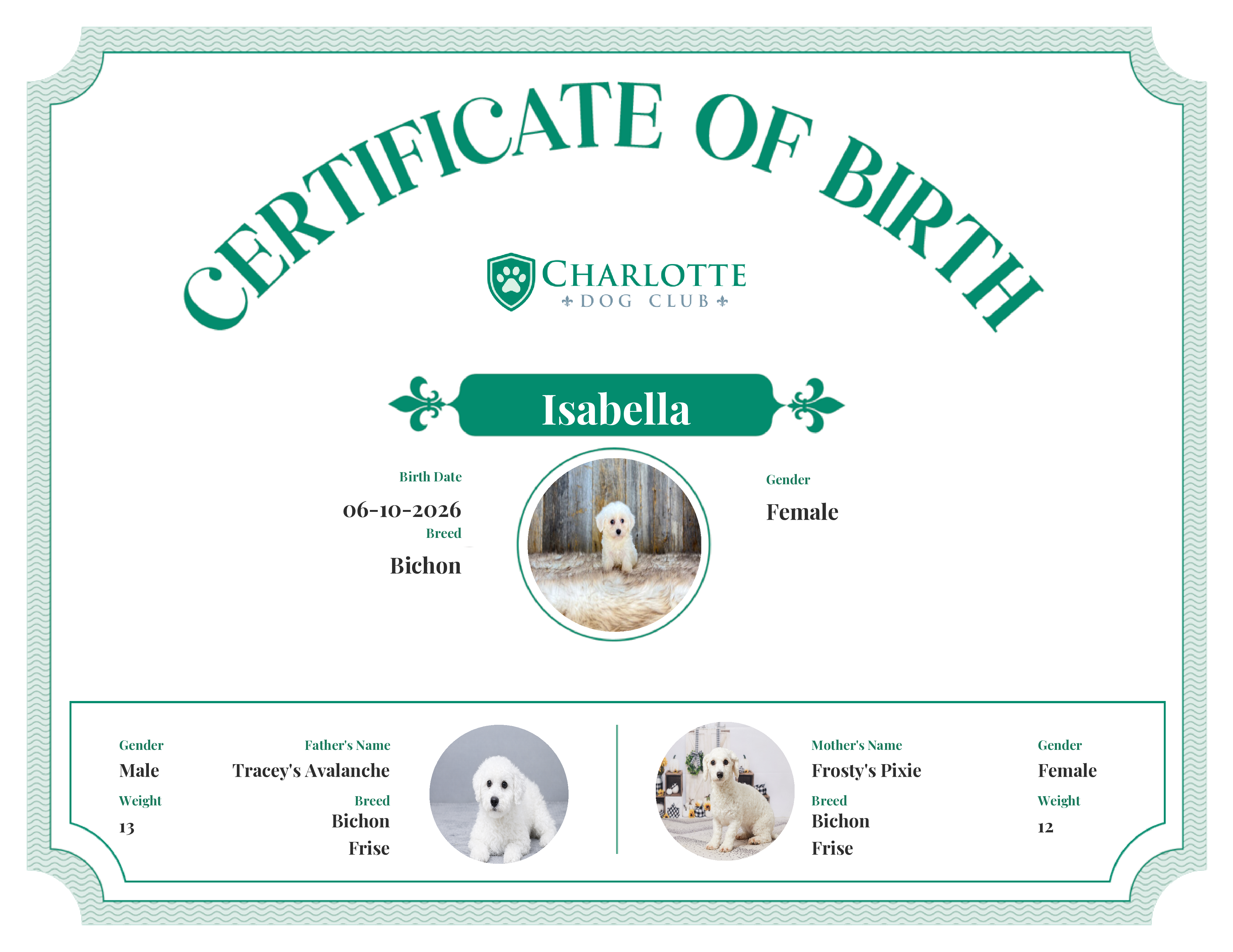 Isabella's Birth Certificate
