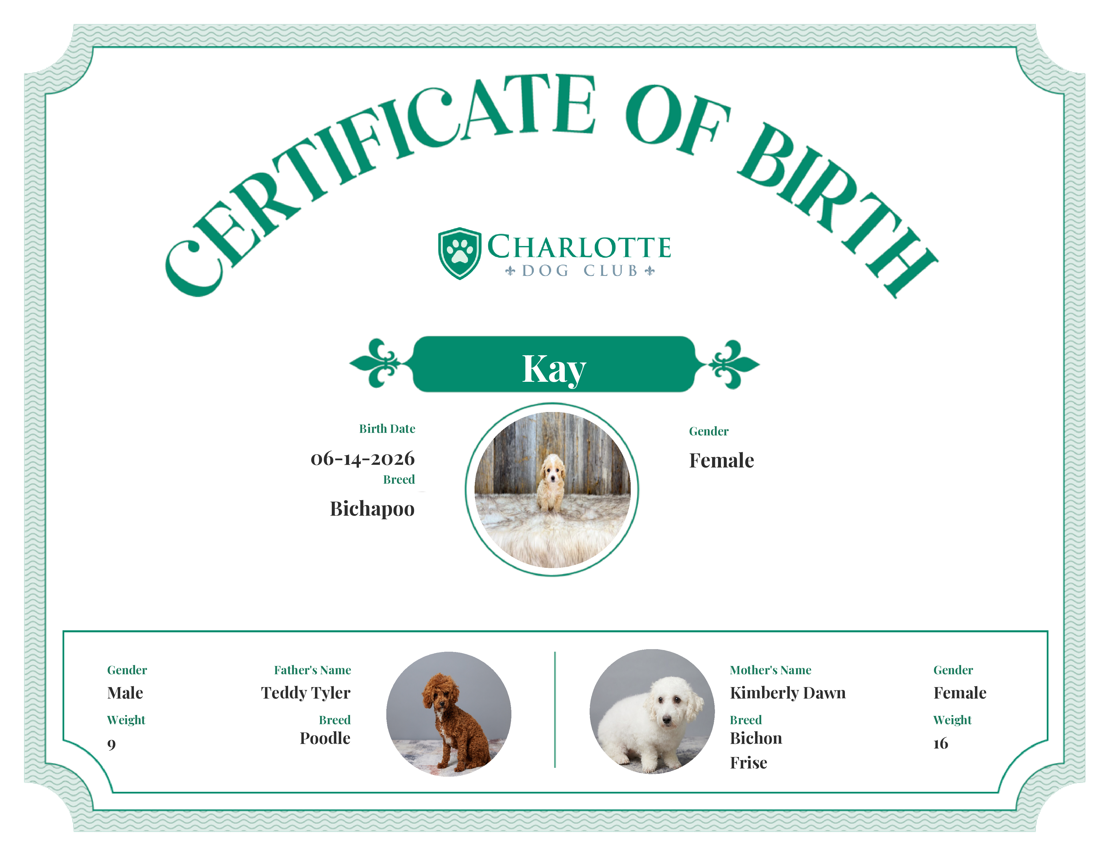 Kay's Birth Certificate