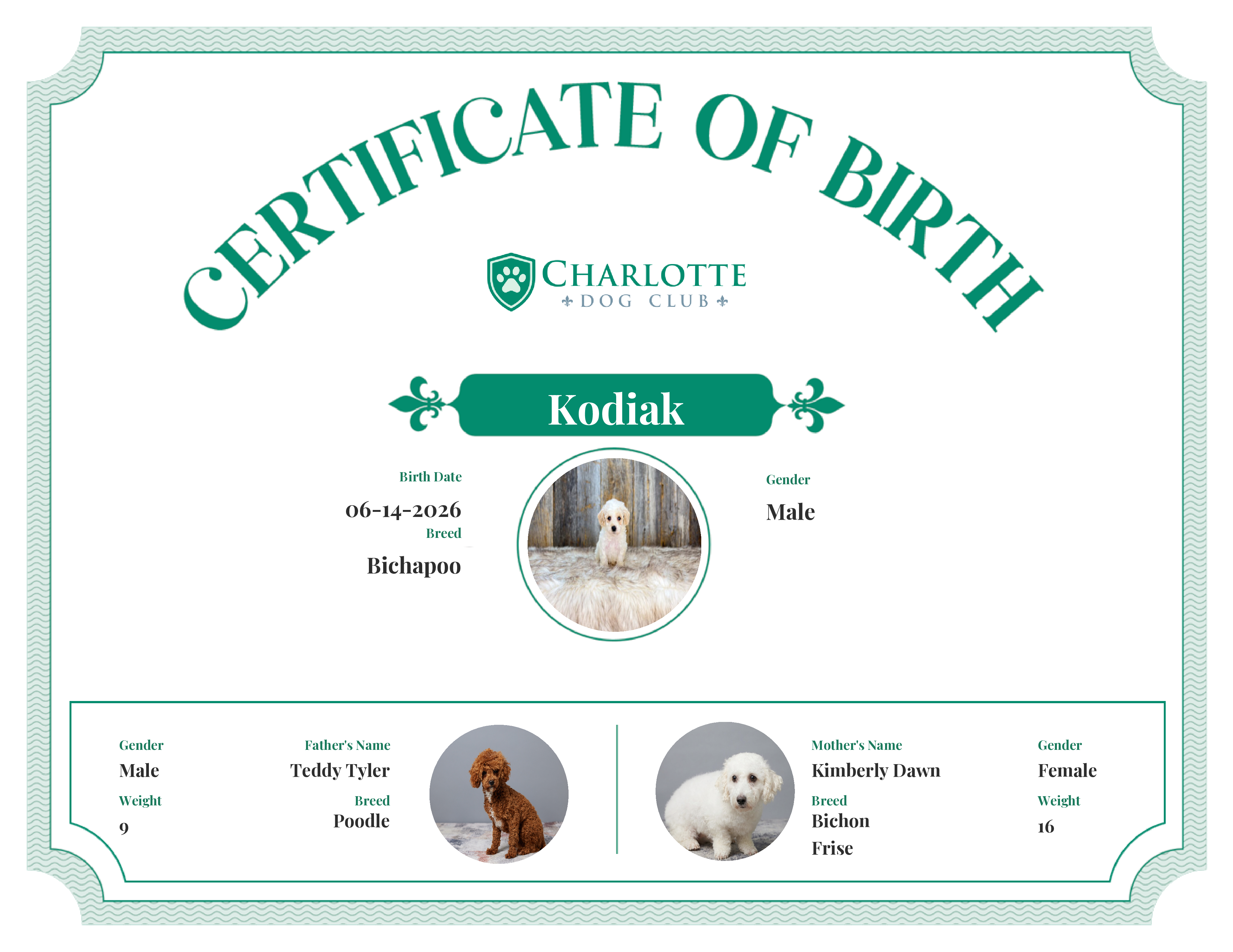 Kodiak's Birth Certificate