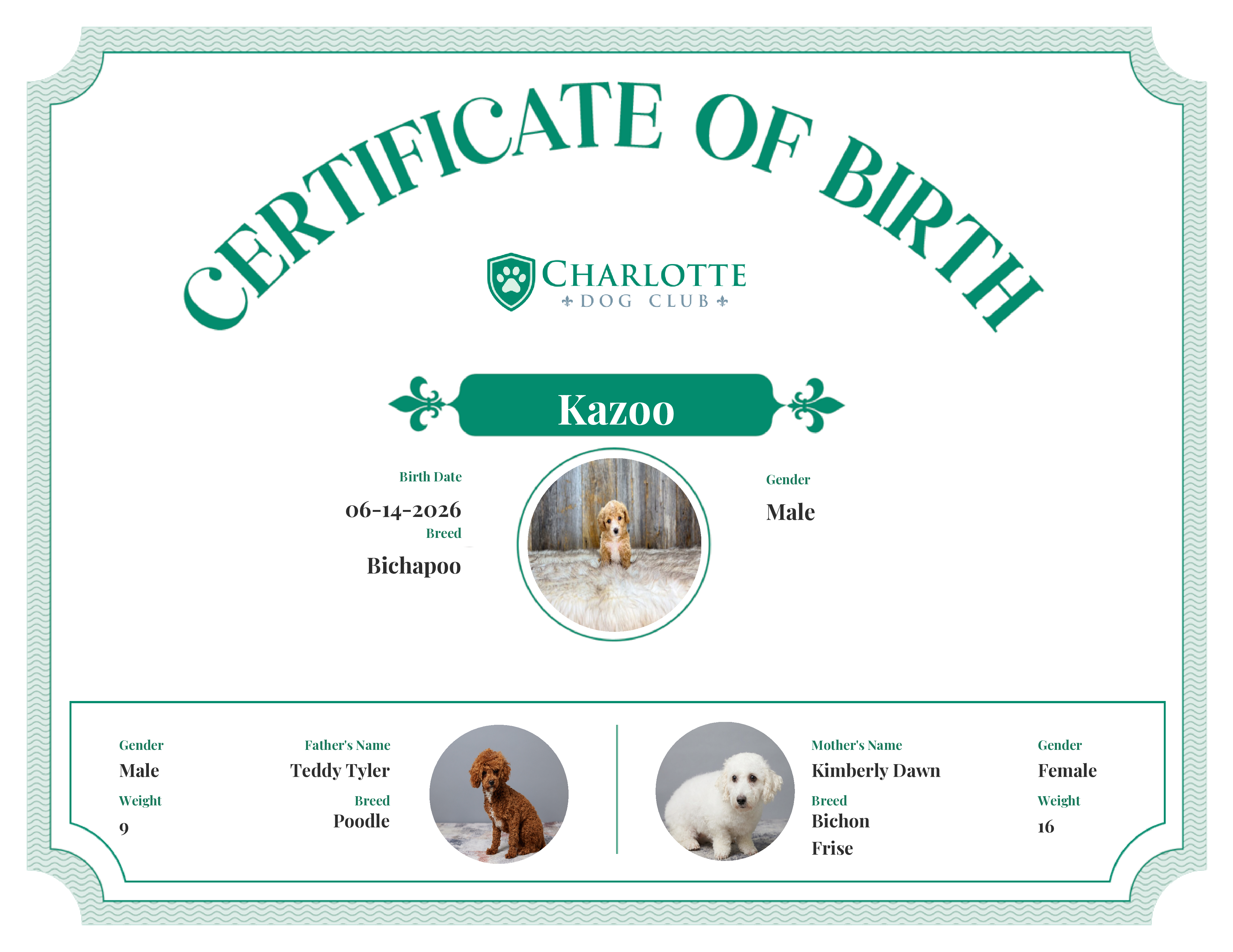 Kazoo's Birth Certificate