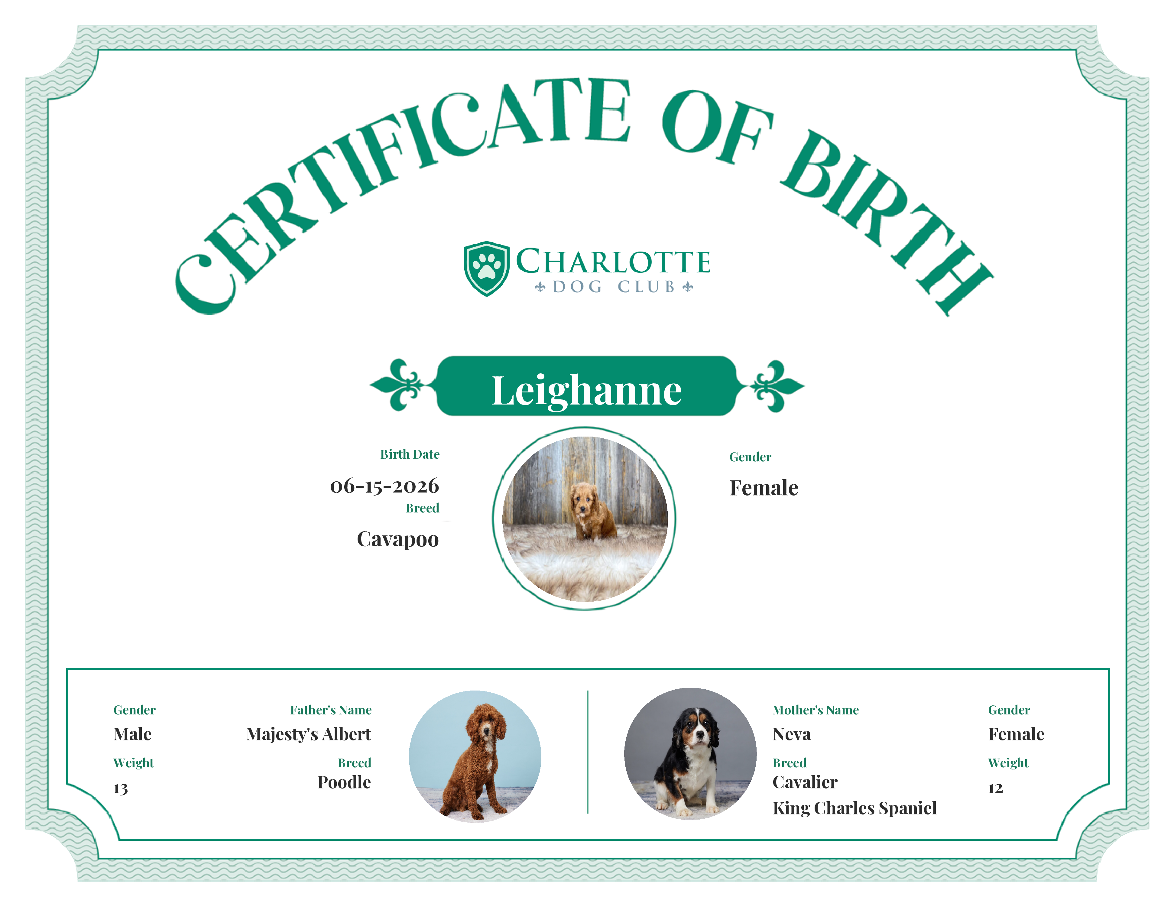 Leighanne's Birth Certificate
