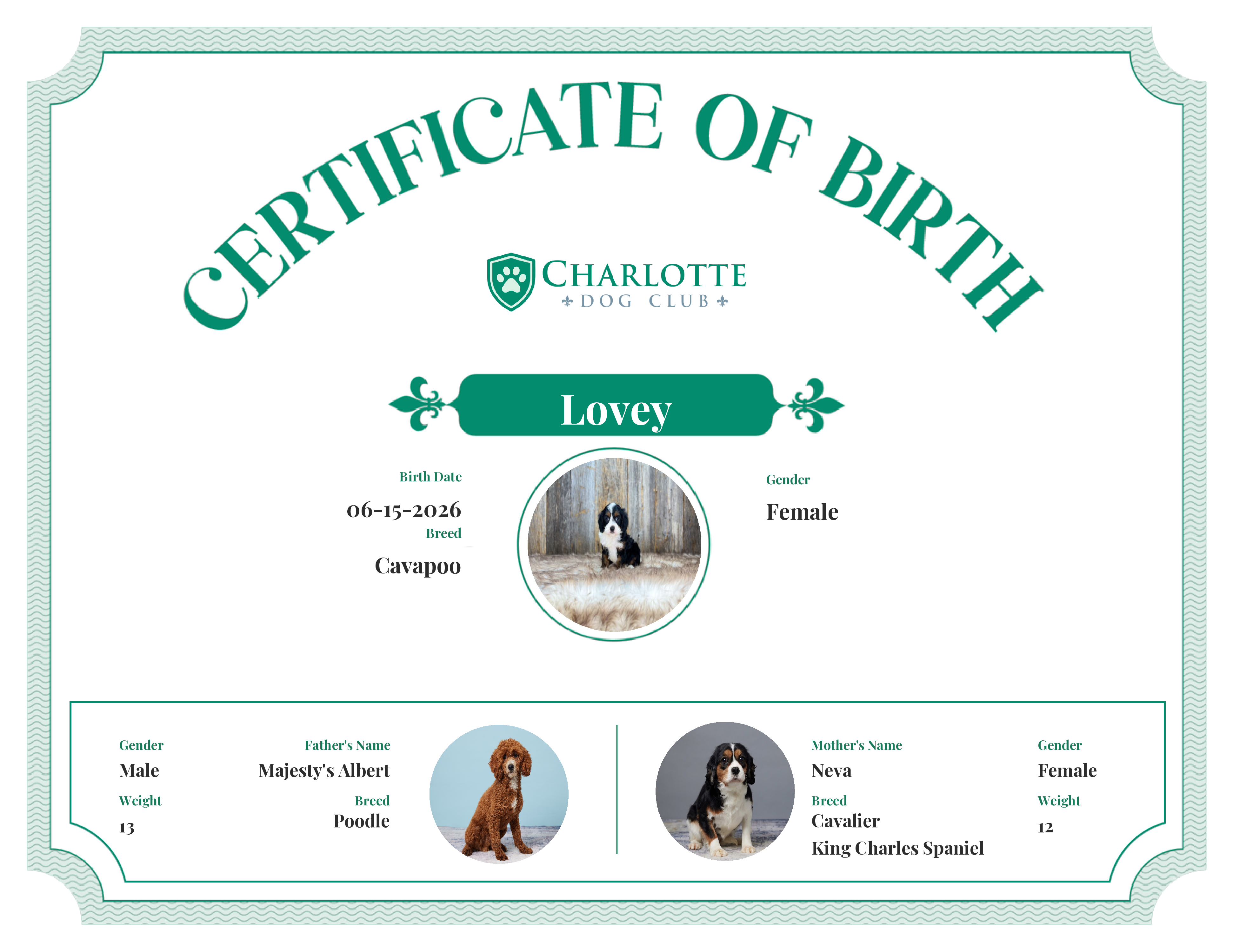 Lovey's Birth Certificate