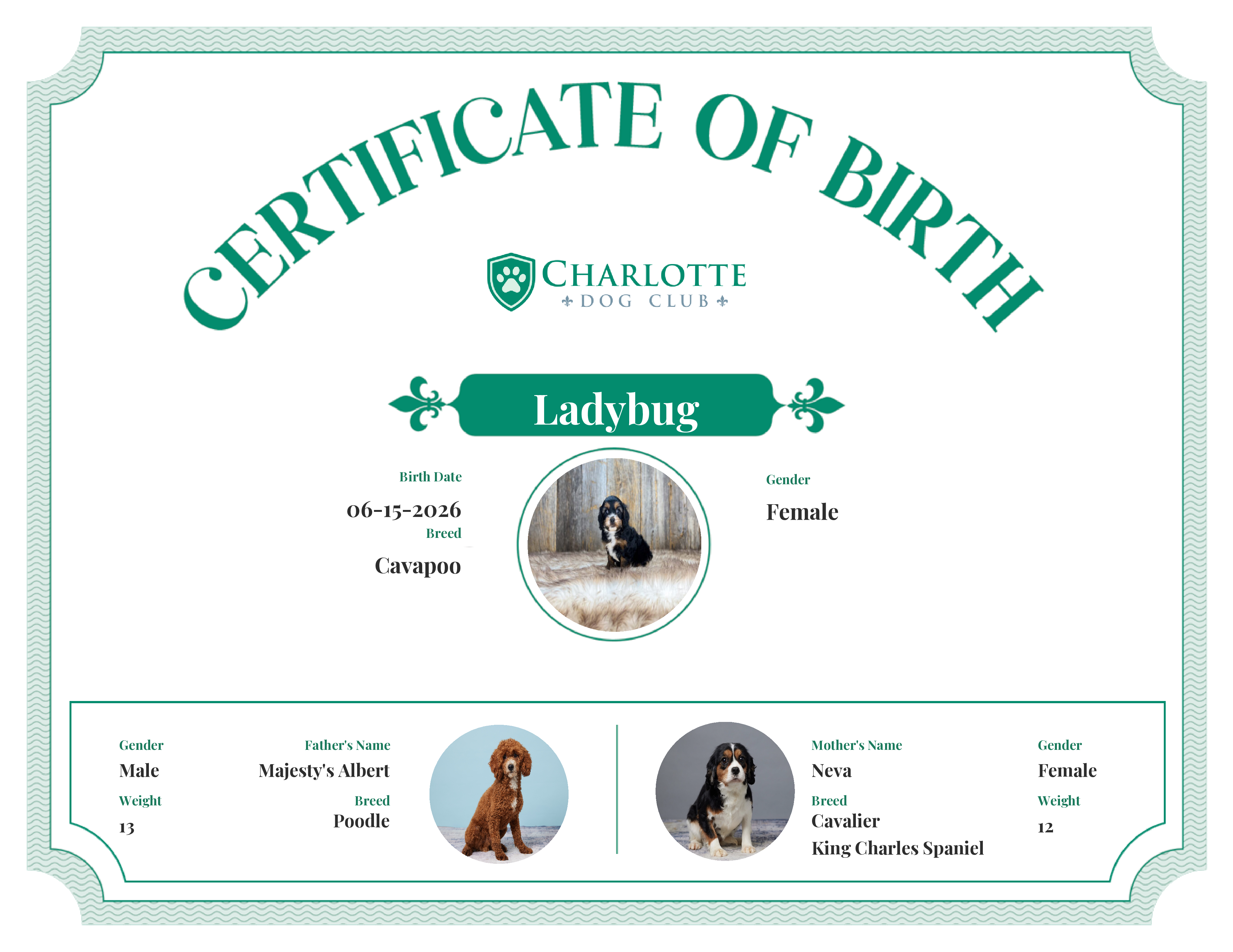 Ladybug's Birth Certificate