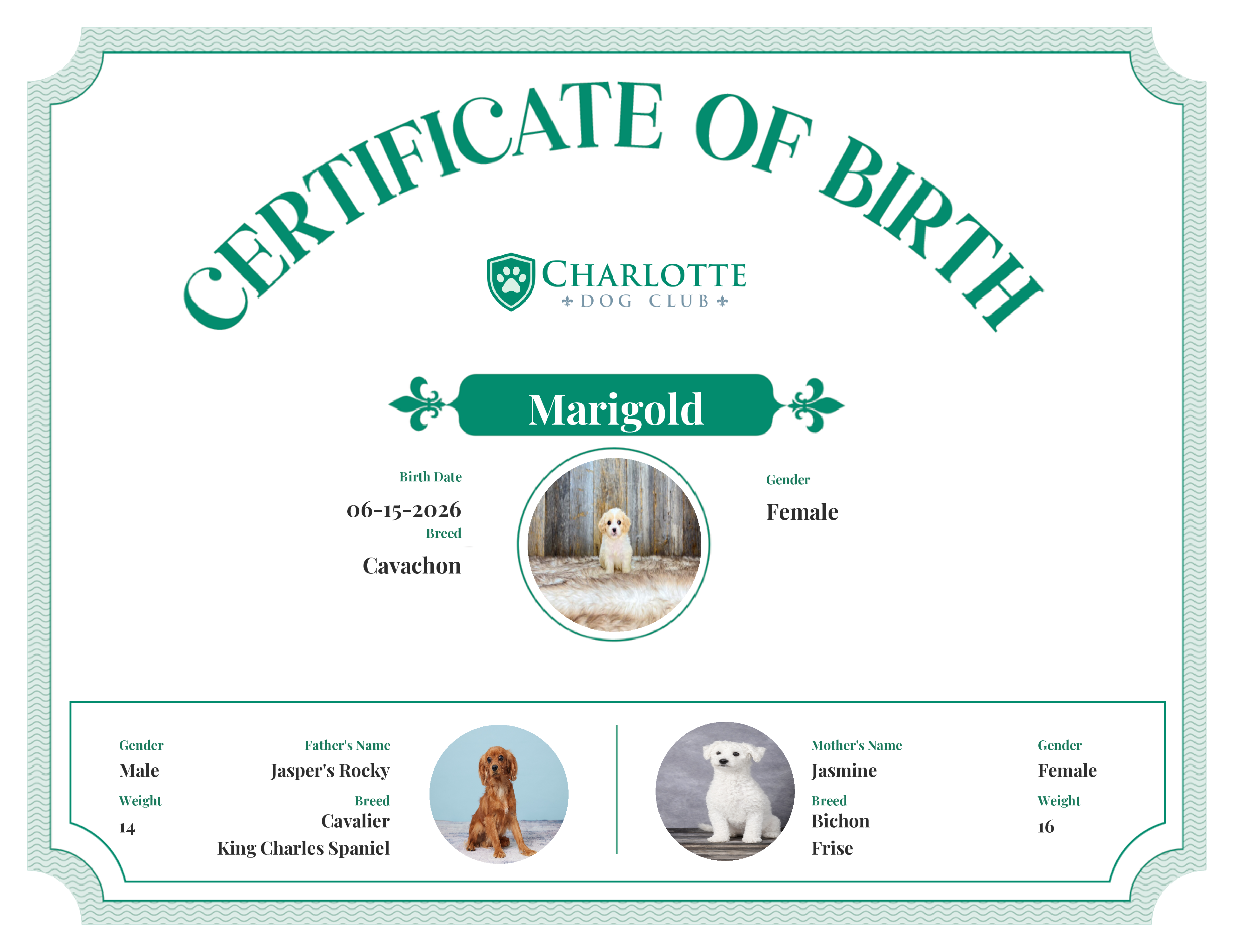 Marigold's Birth Certificate