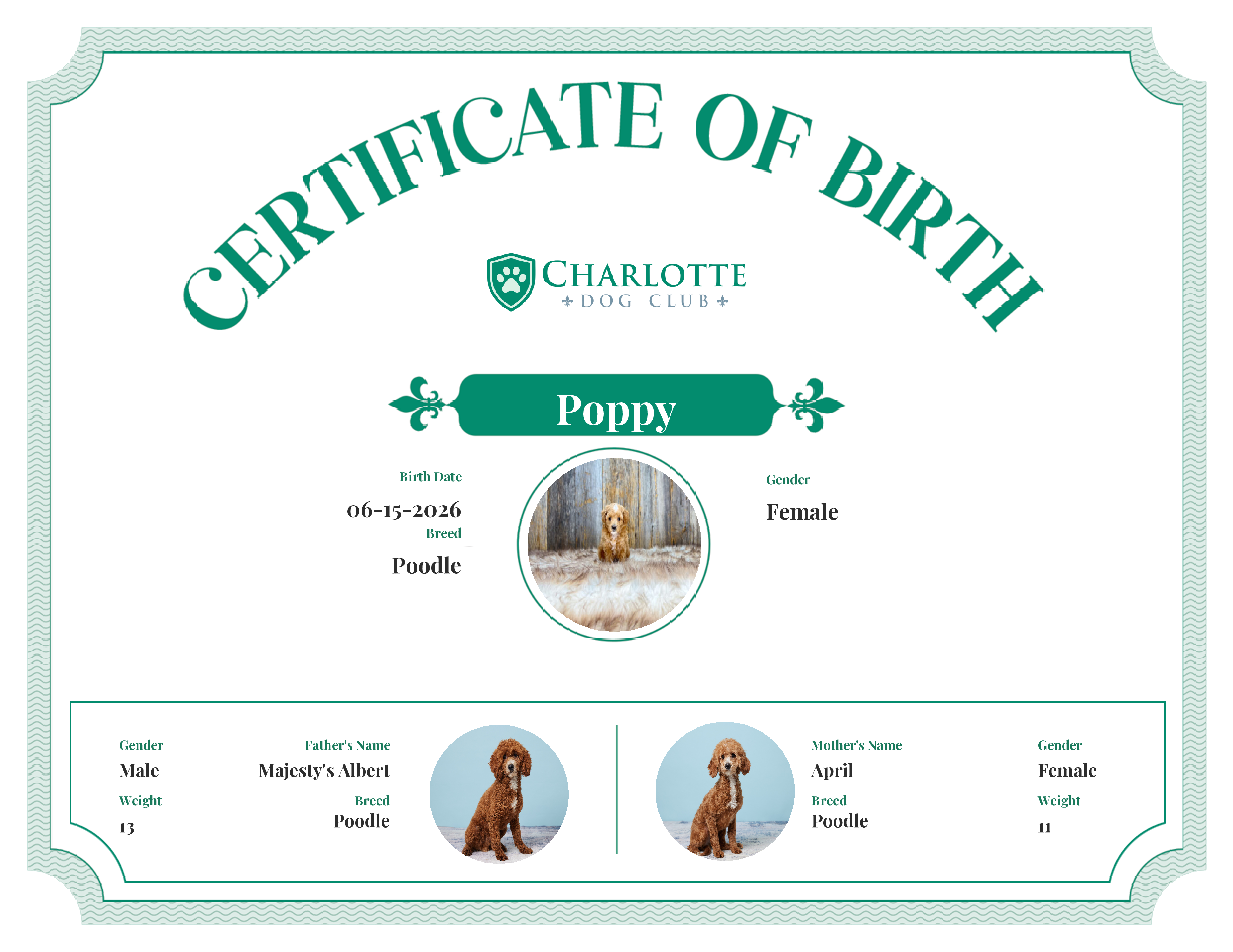 Poppy's Birth Certificate
