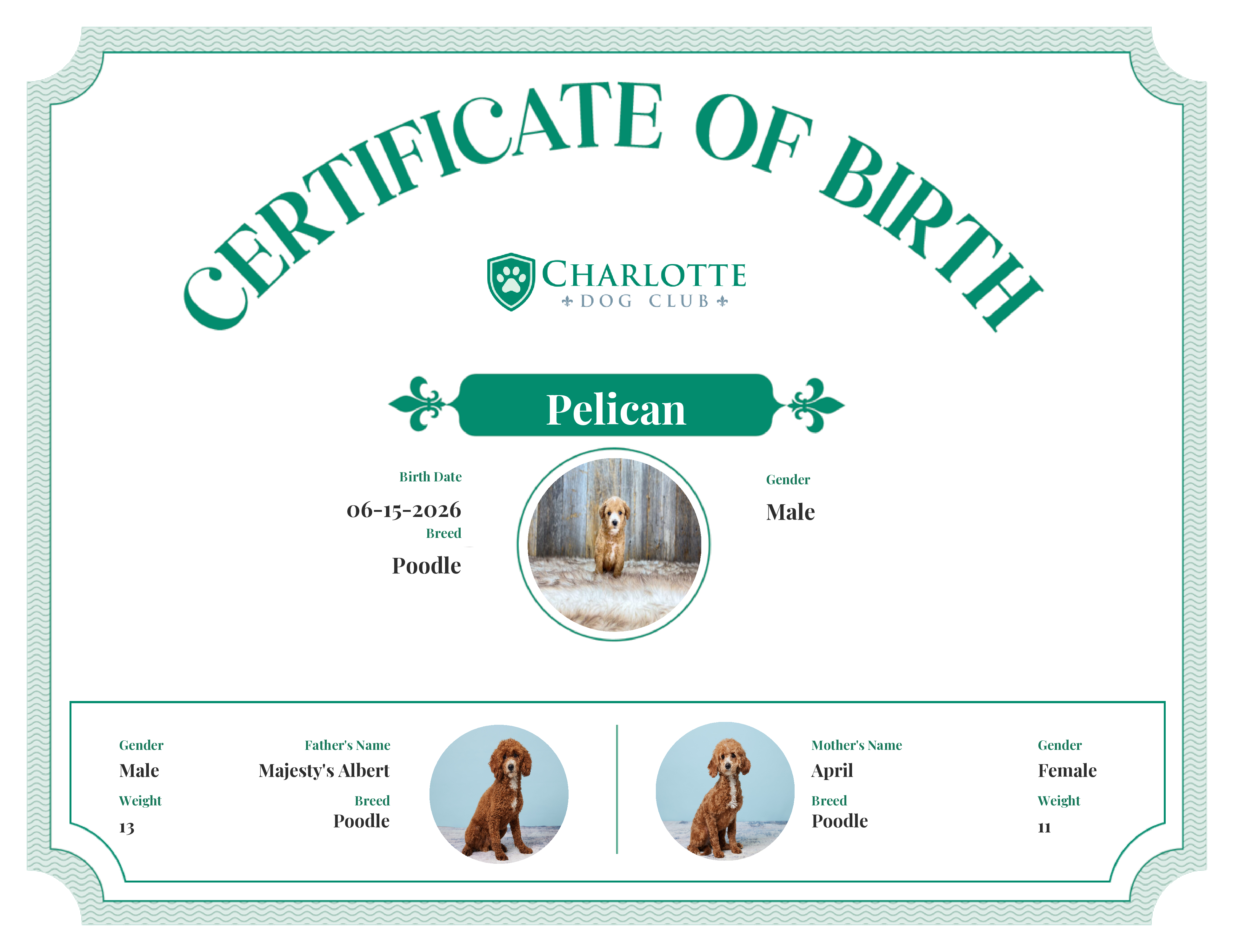 Pelican's Birth Certificate