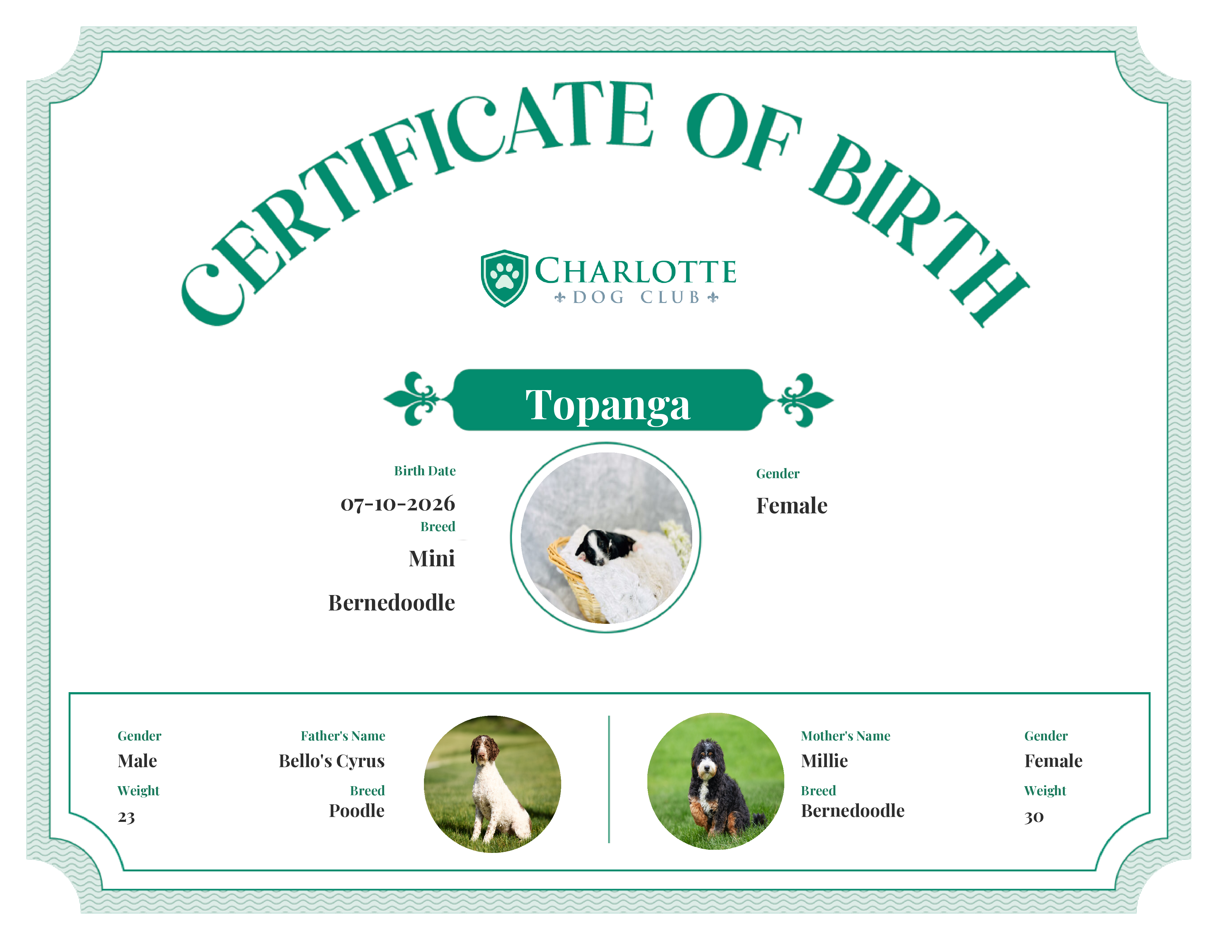 Topanga's Birth Certificate