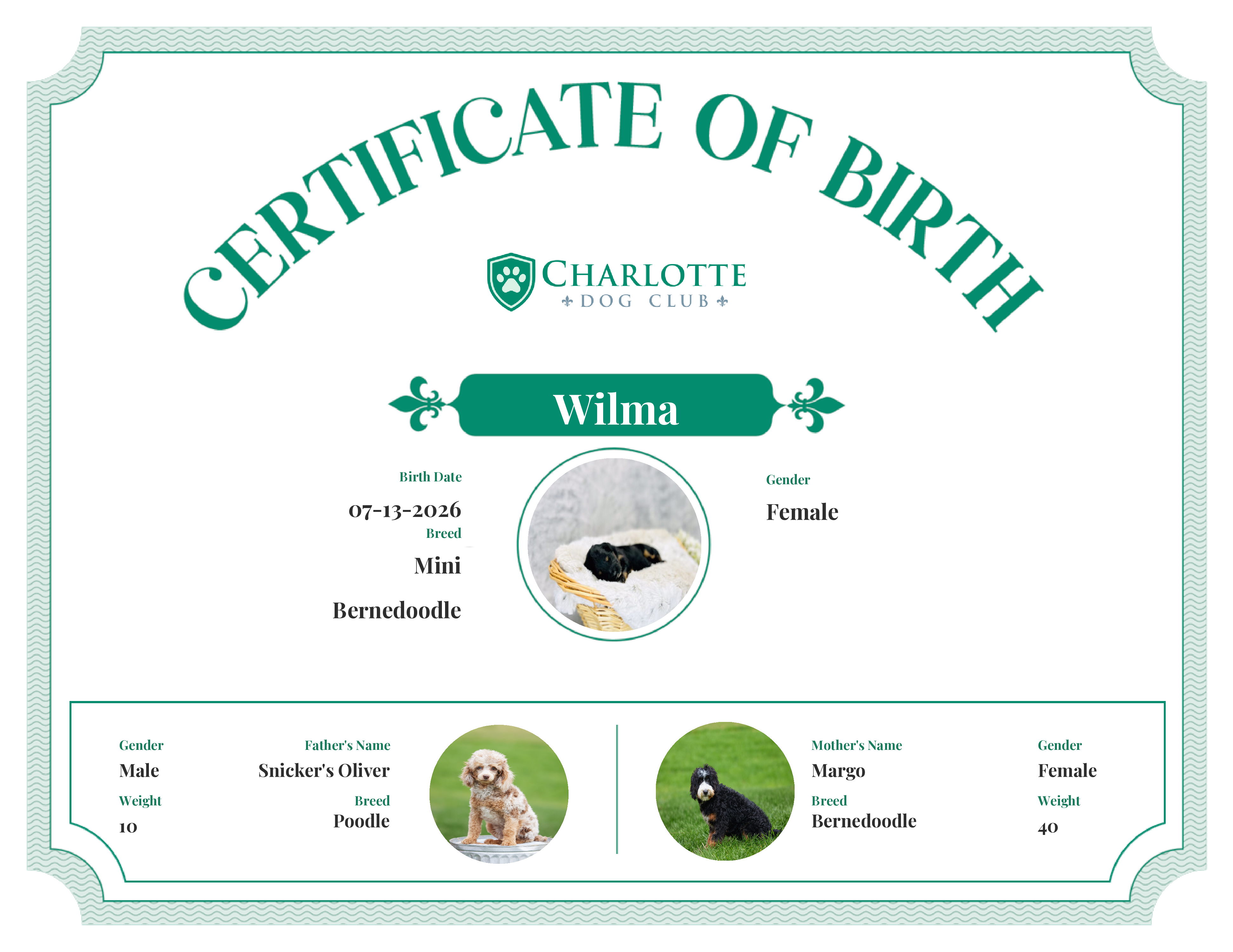 Wilma's Birth Certificate