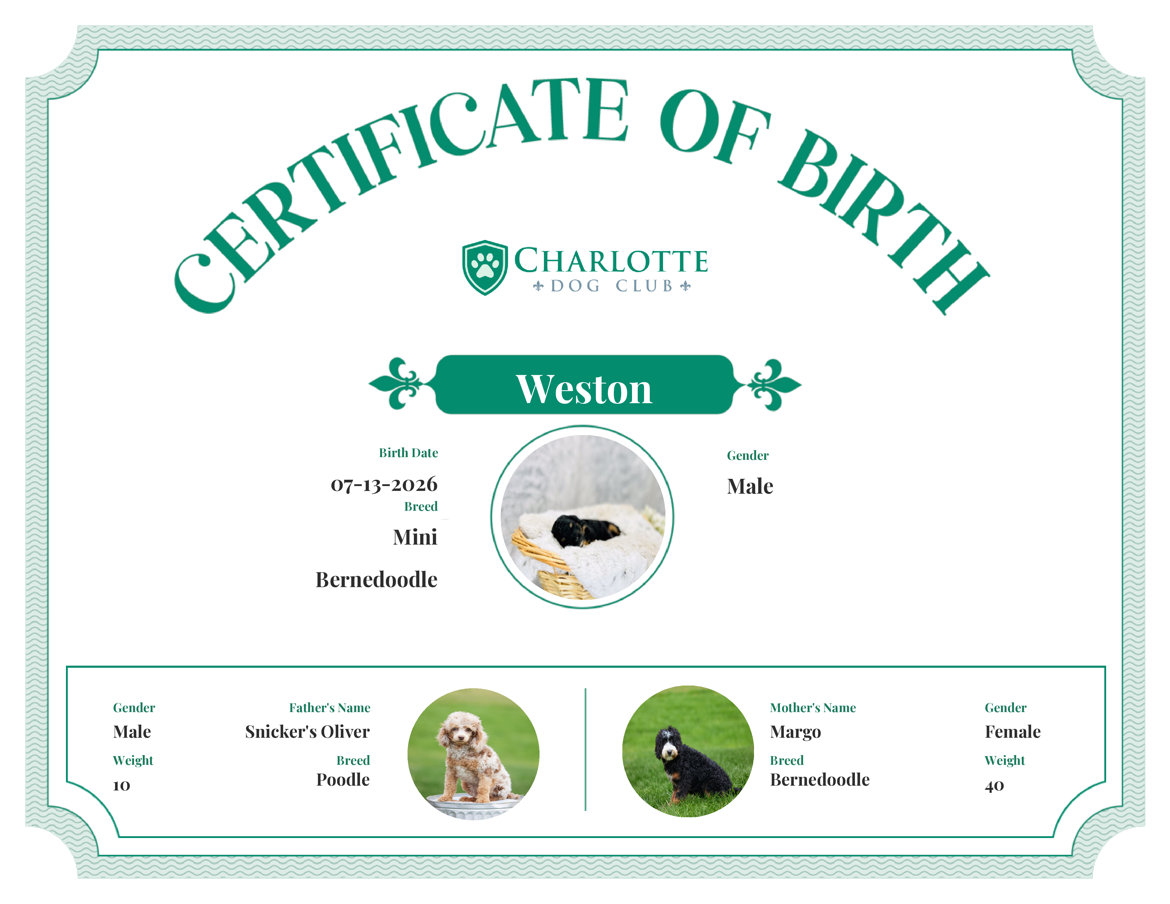 Weston's Birth Certificate