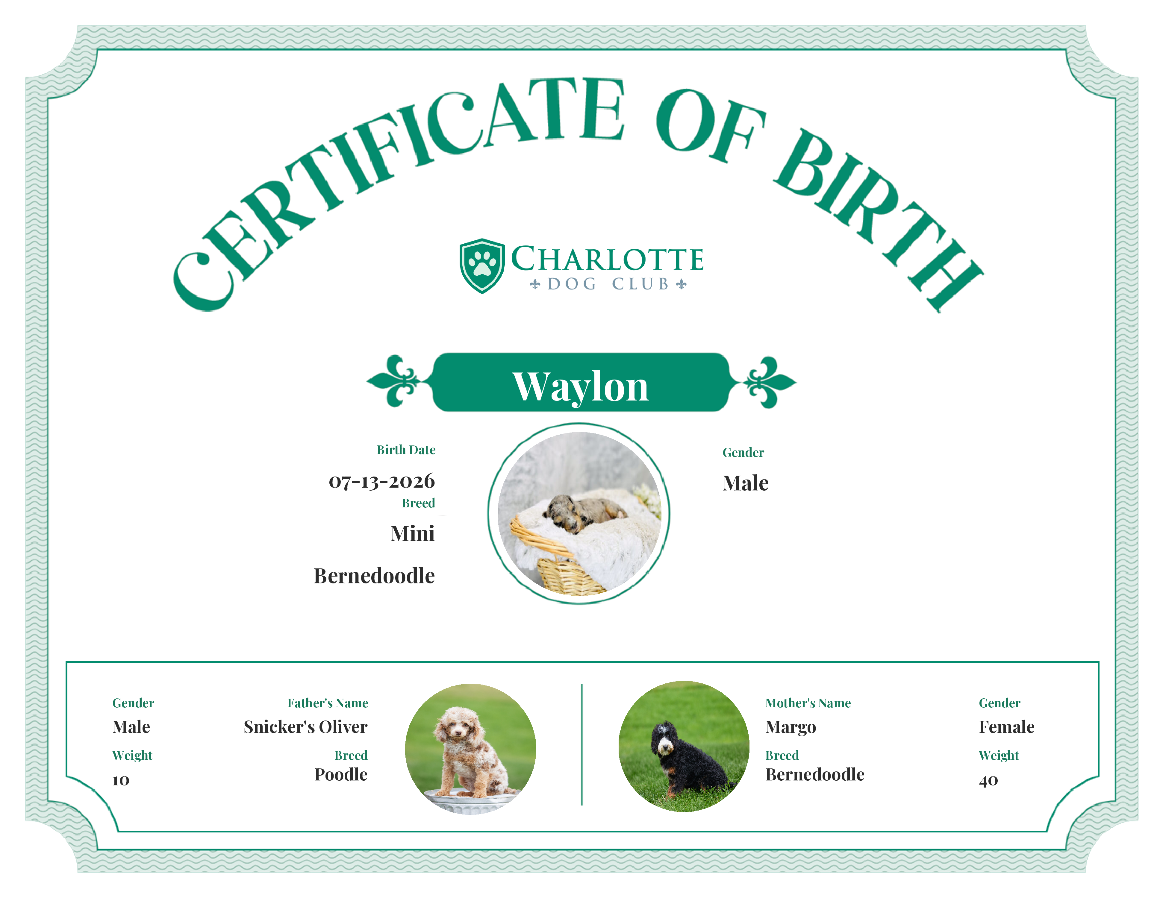 Waylon's Birth Certificate