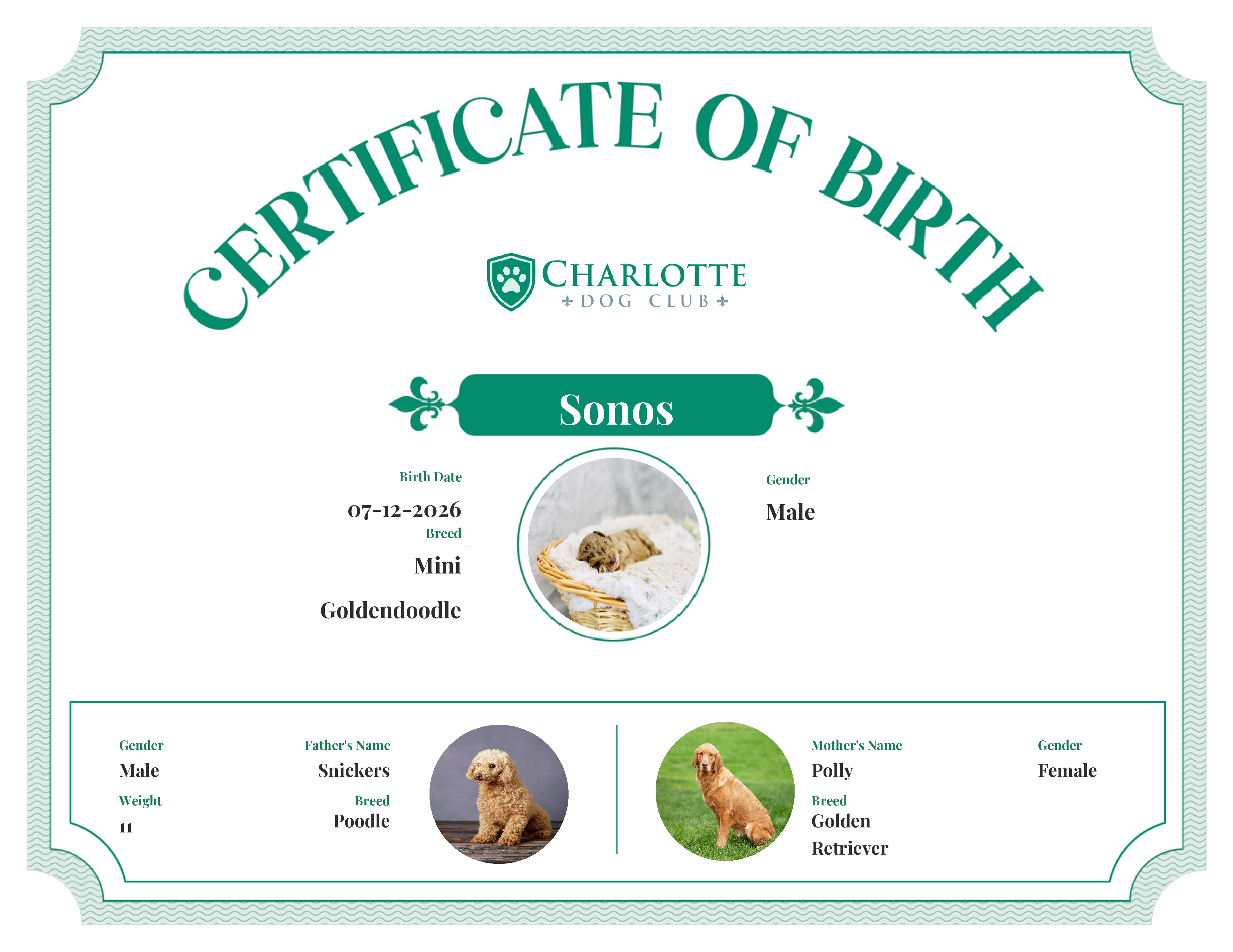 Sonos's Birth Certificate