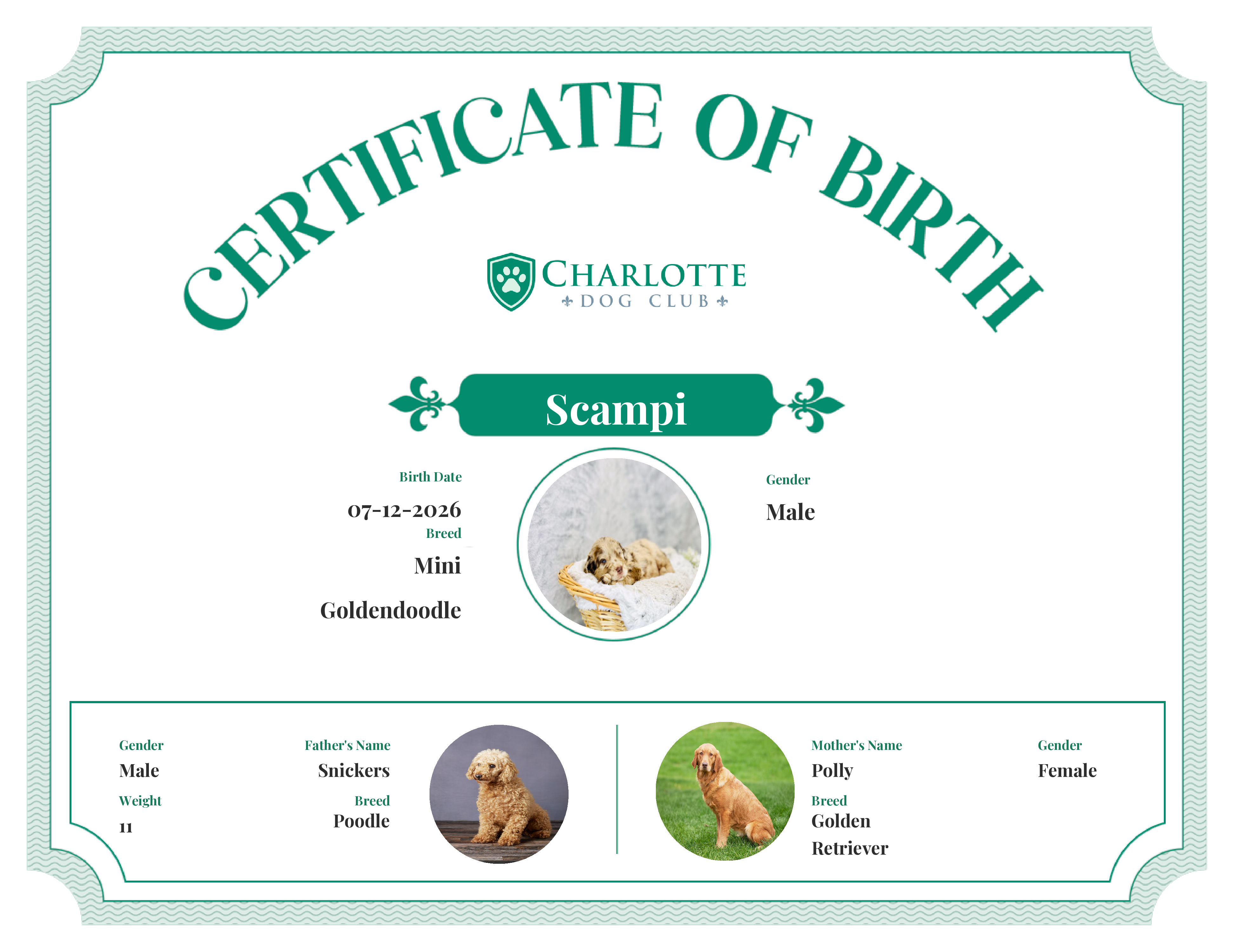 Scampi's Birth Certificate