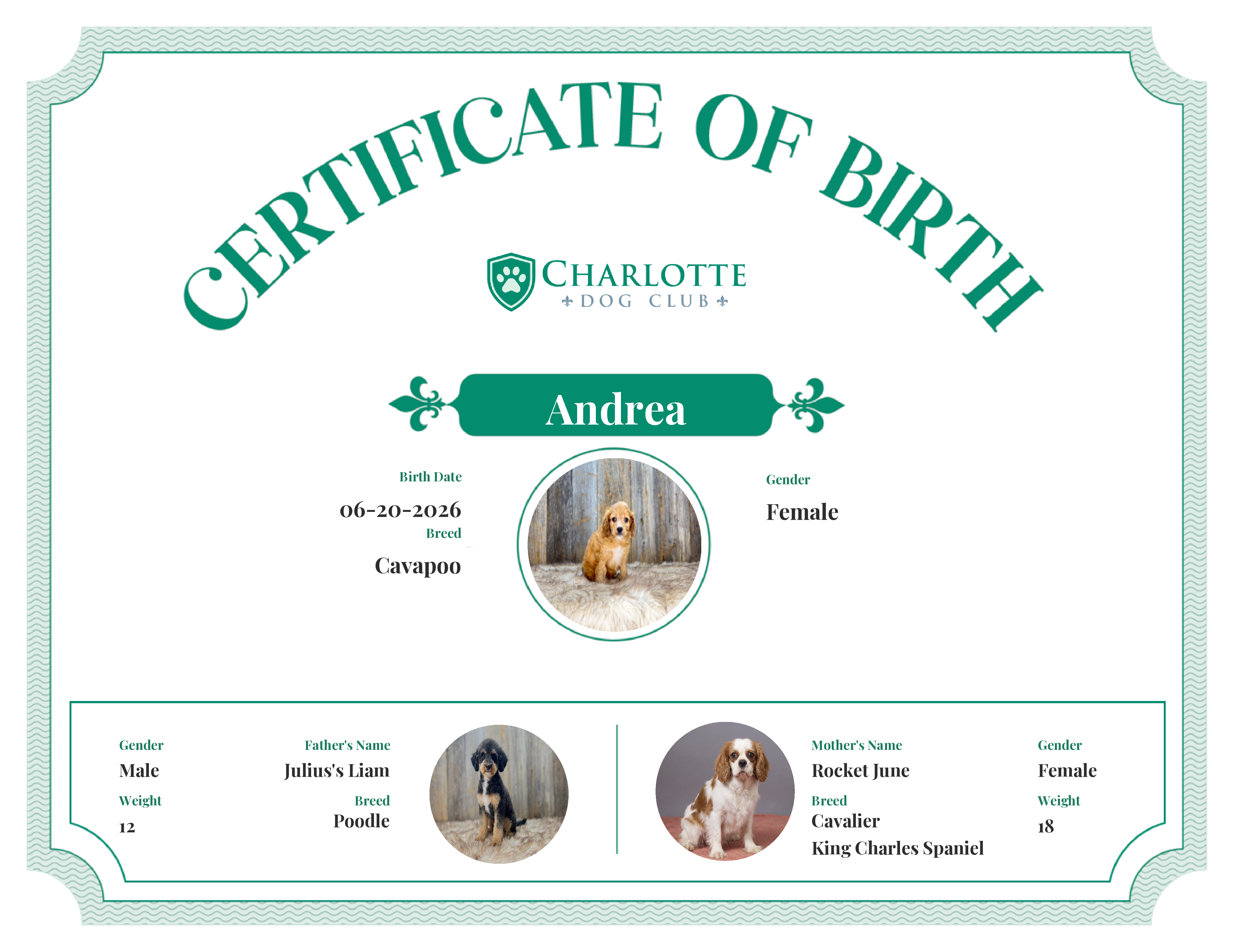 Andrea's Birth Certificate