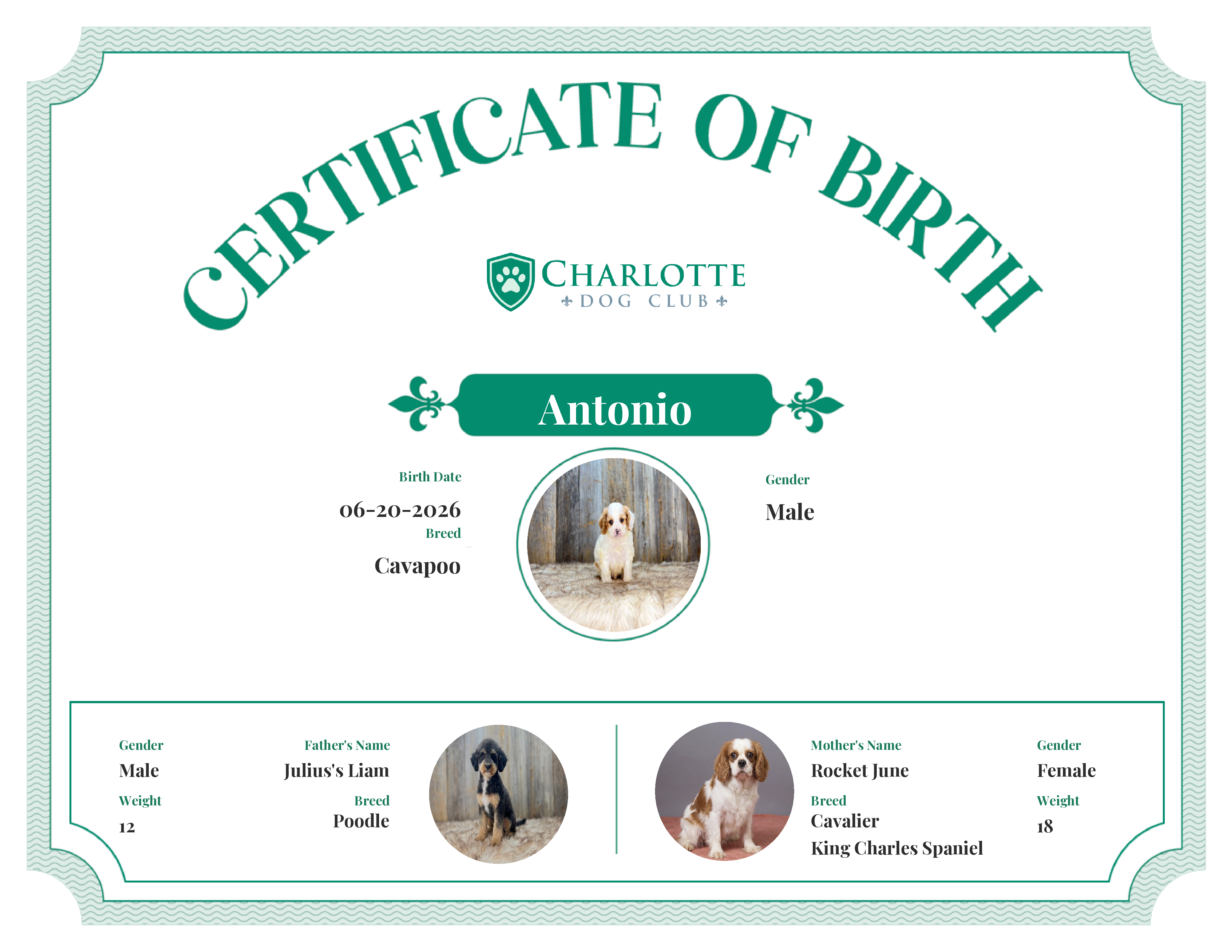 Antonio's Birth Certificate